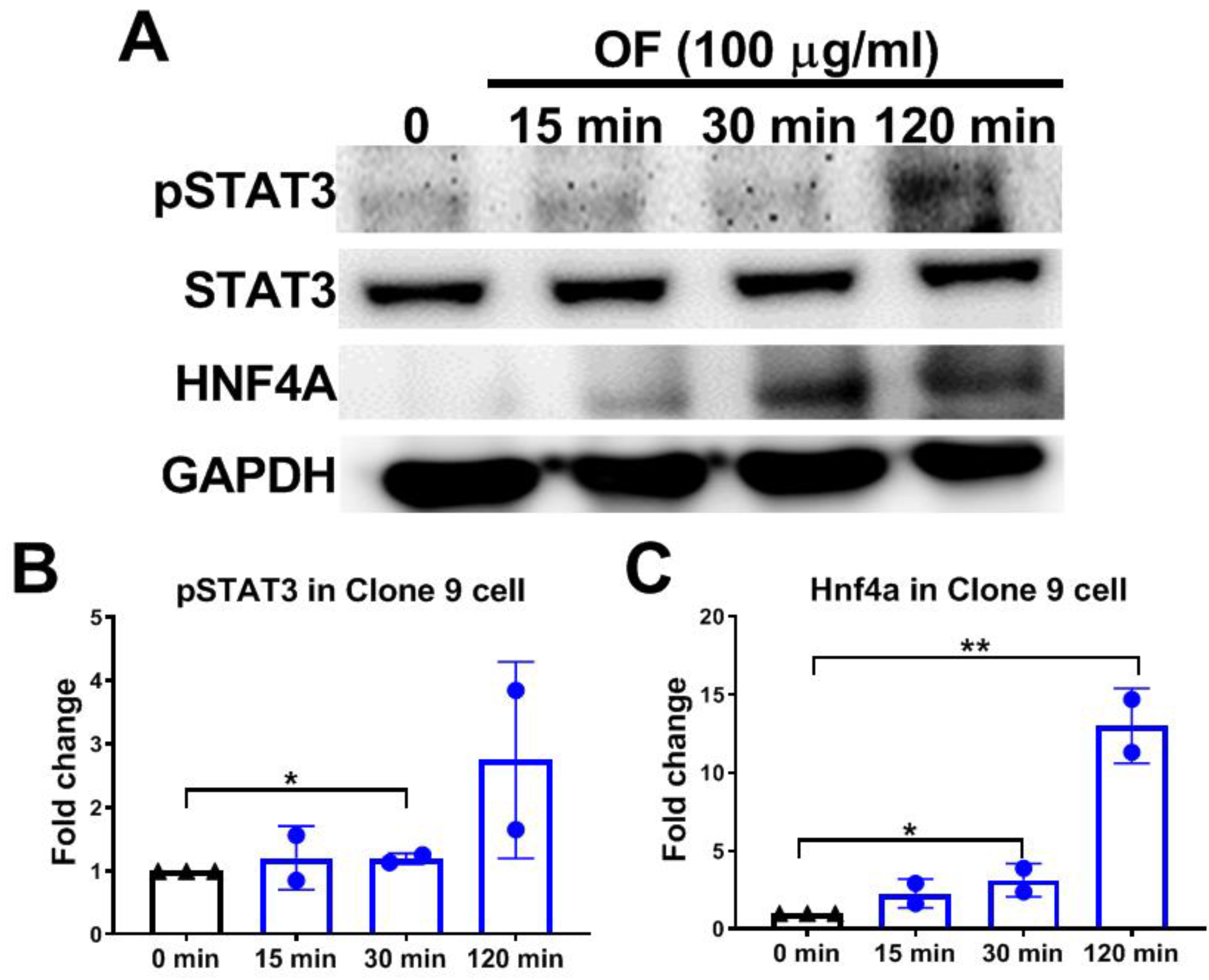 Biomolecules 10 00898 g007 Biomolecules 10 00898 g007