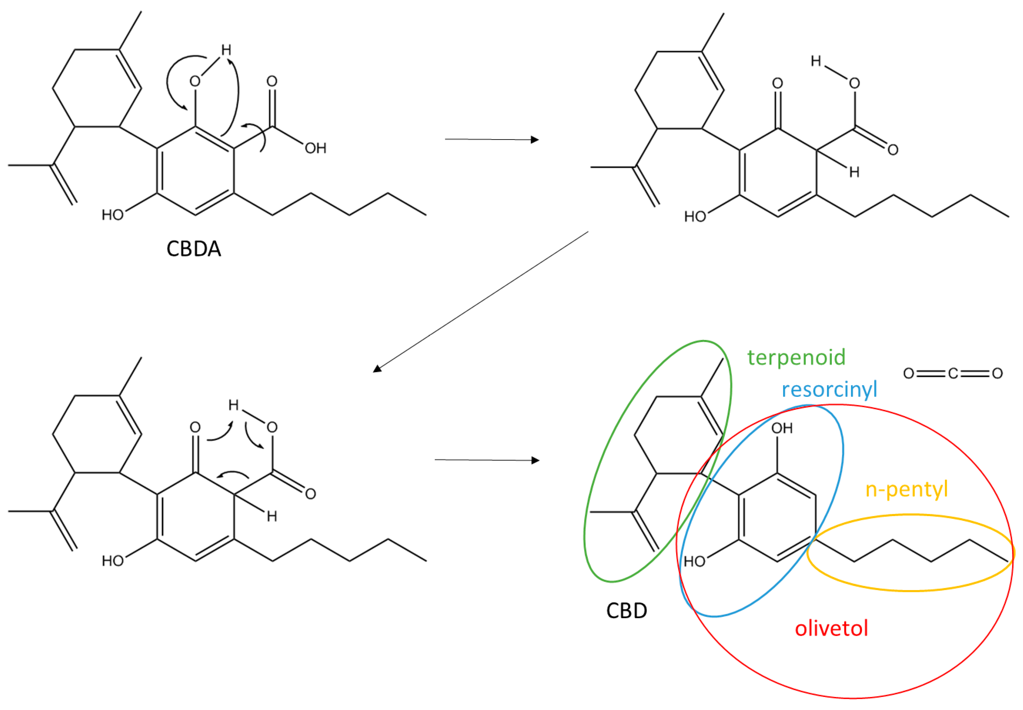 Biomolecules 10 00900 g001 Biomolecules 10 00900 g001