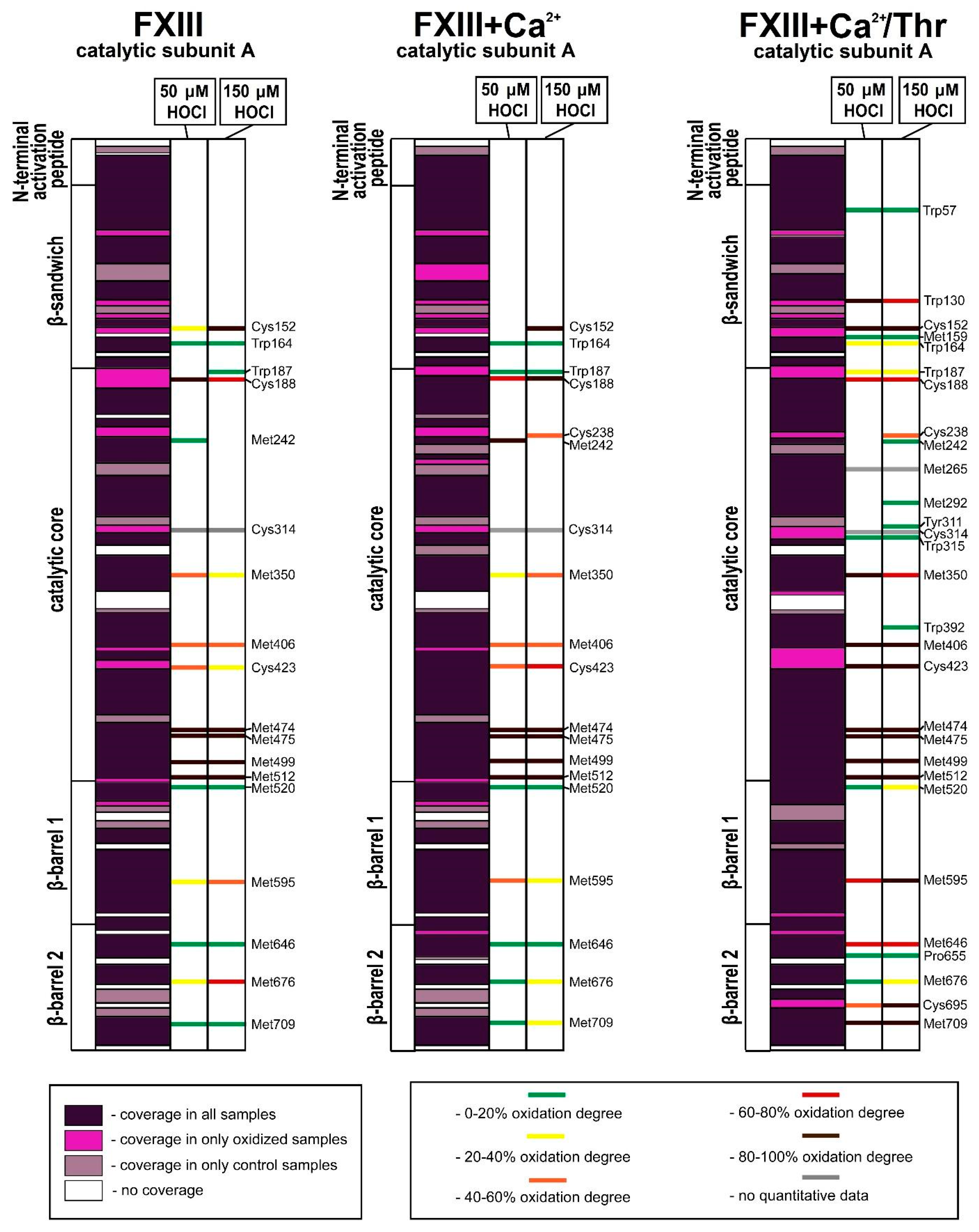 Biomolecules 10 00914 g005