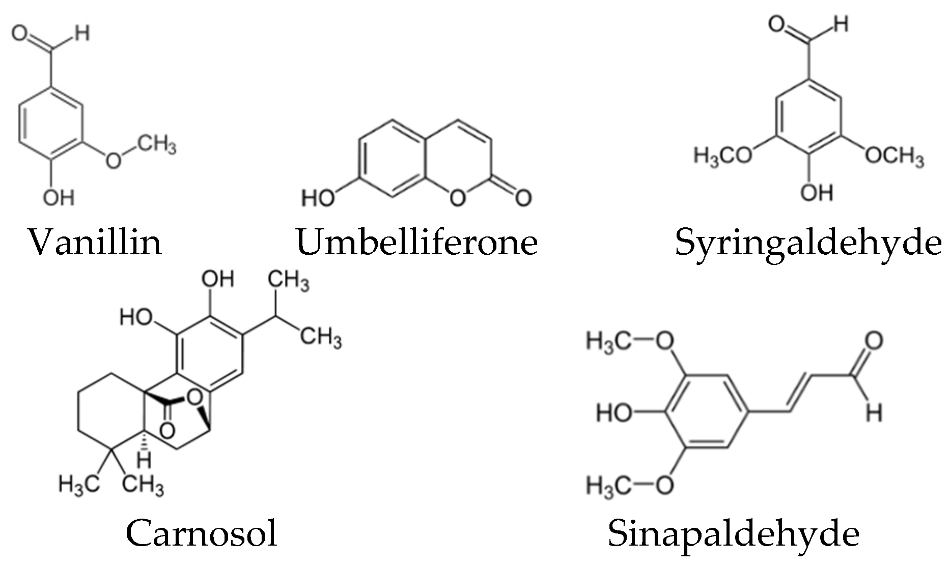 Biomolecules 10 00923 g007