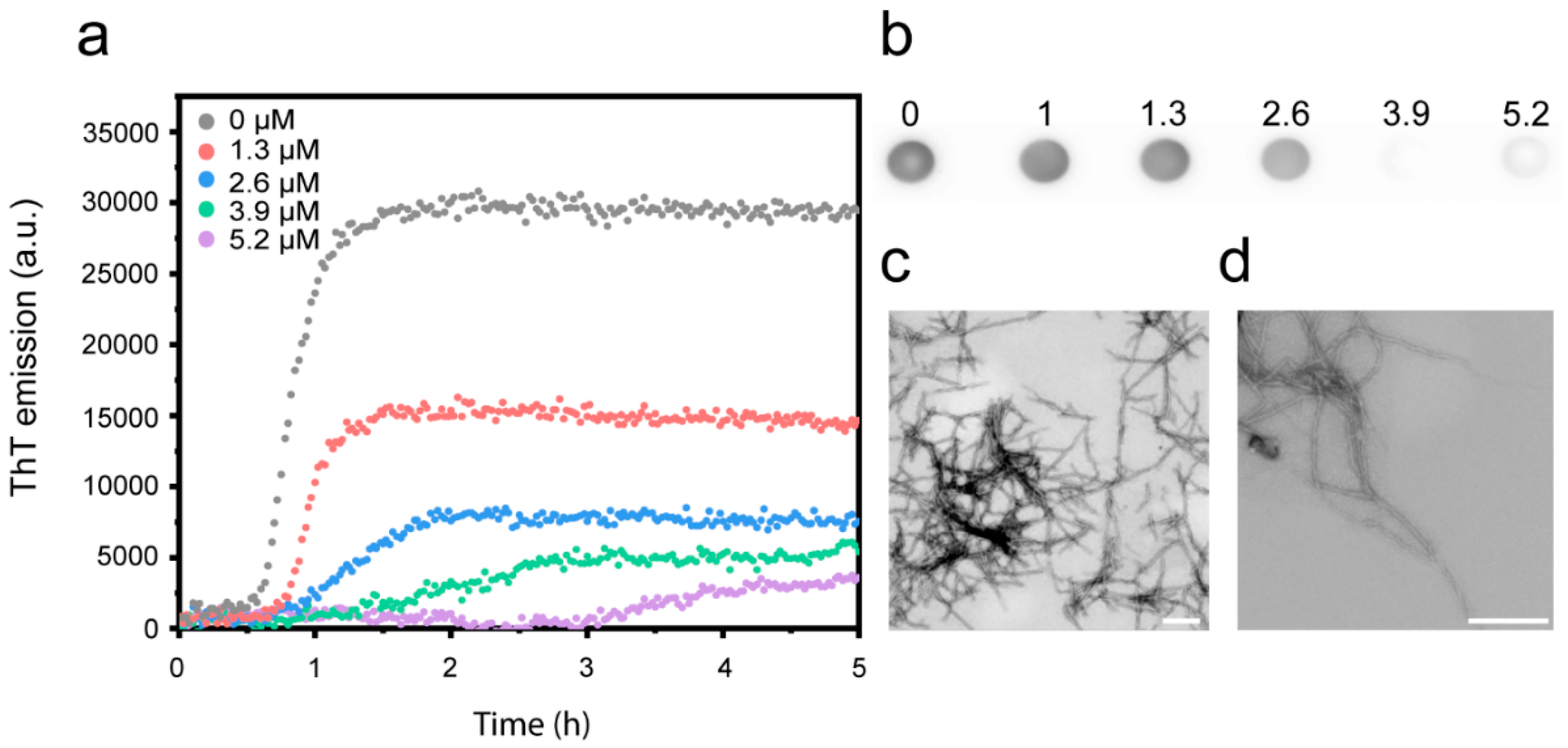 Biomolecules 10 00924 g002 Biomolecules 10 00924 g002