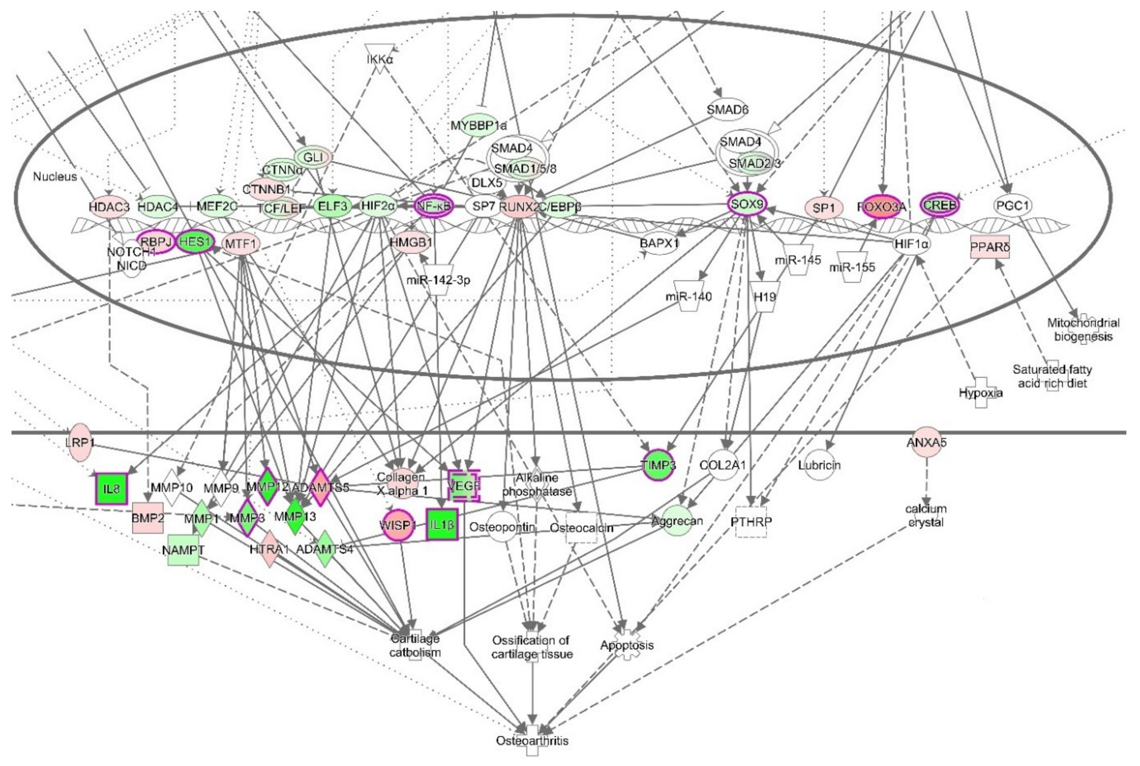 Biomolecules 10 00932 g006