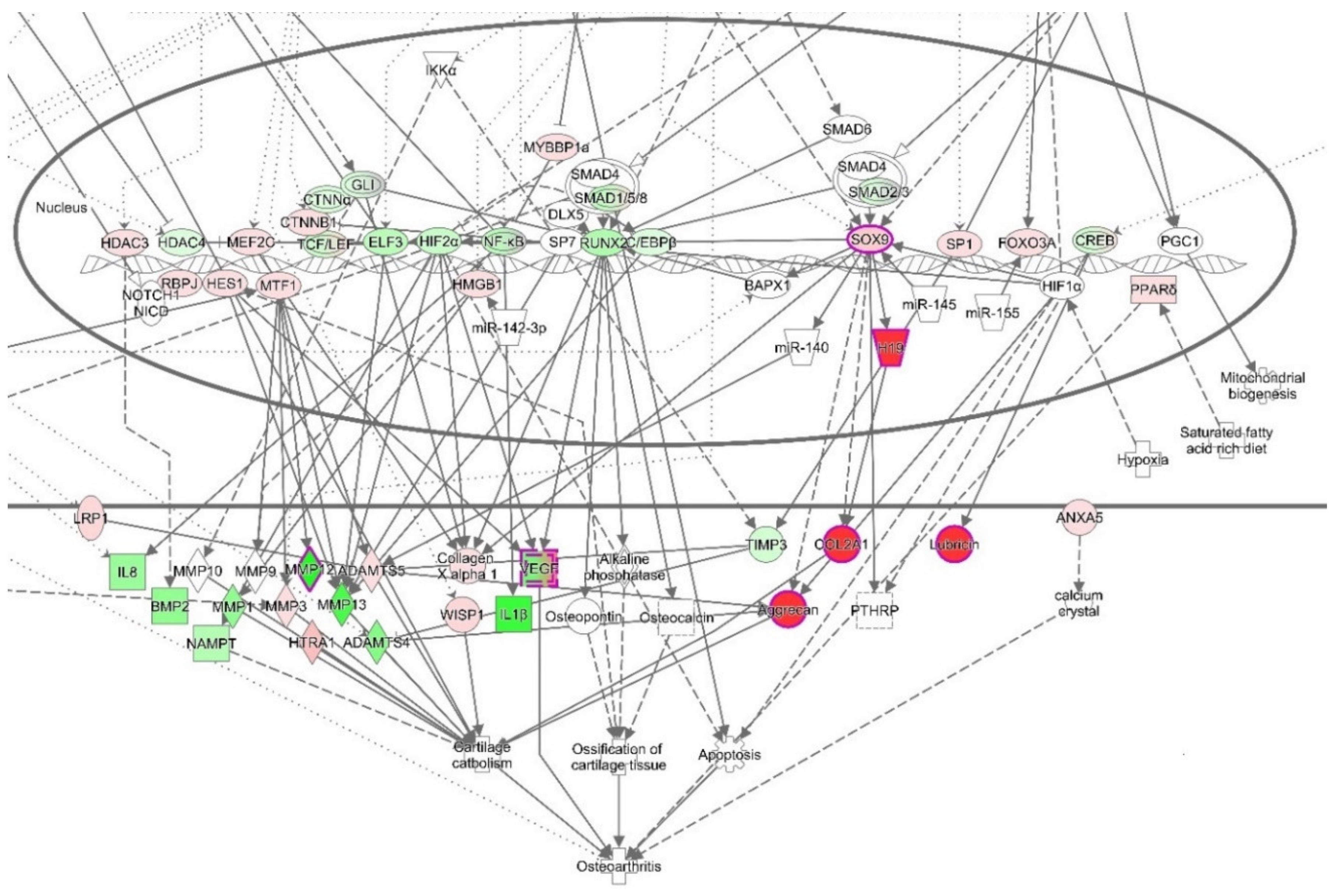 Biomolecules 10 00932 g008