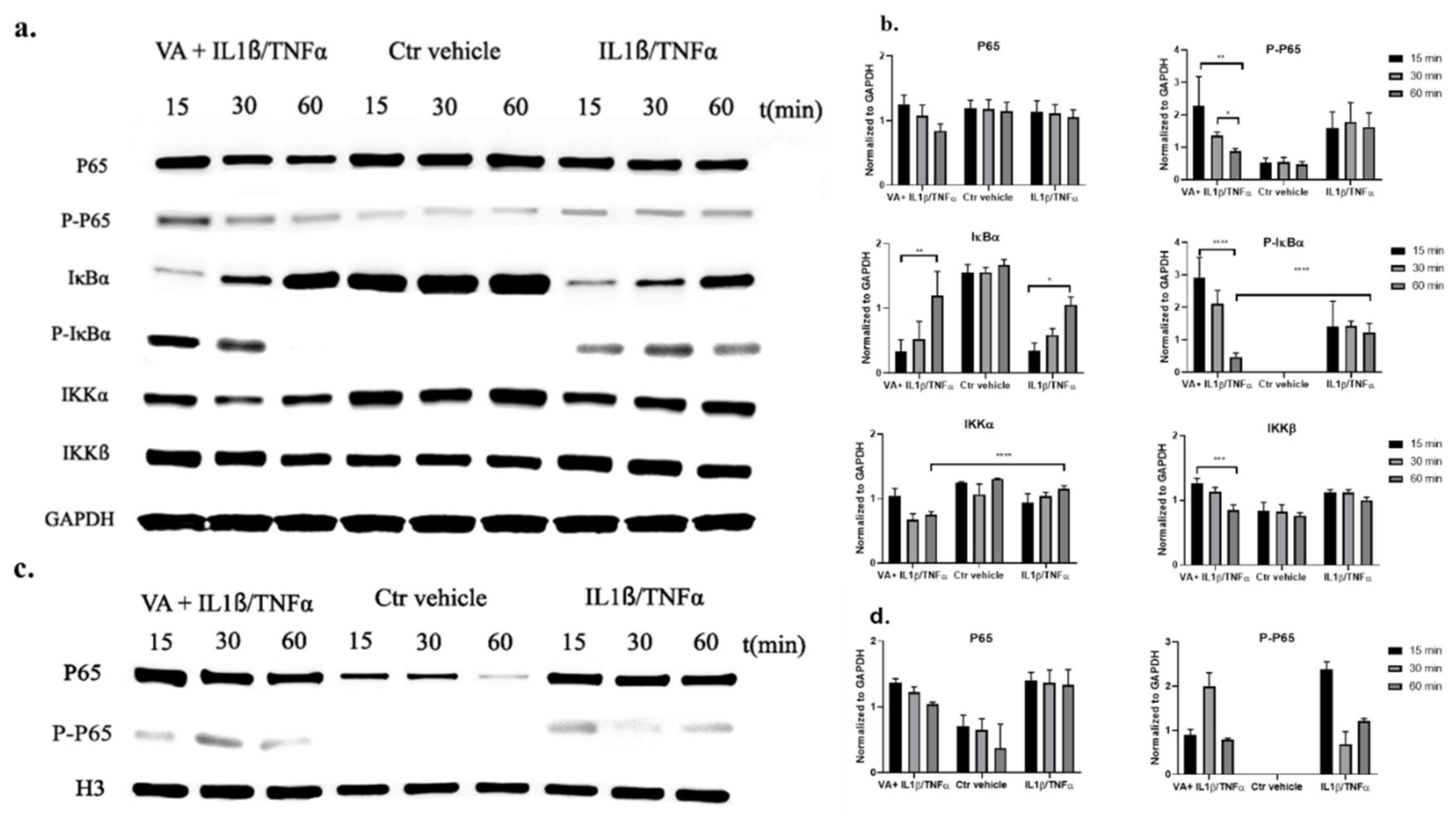 Biomolecules 10 00932 g010
