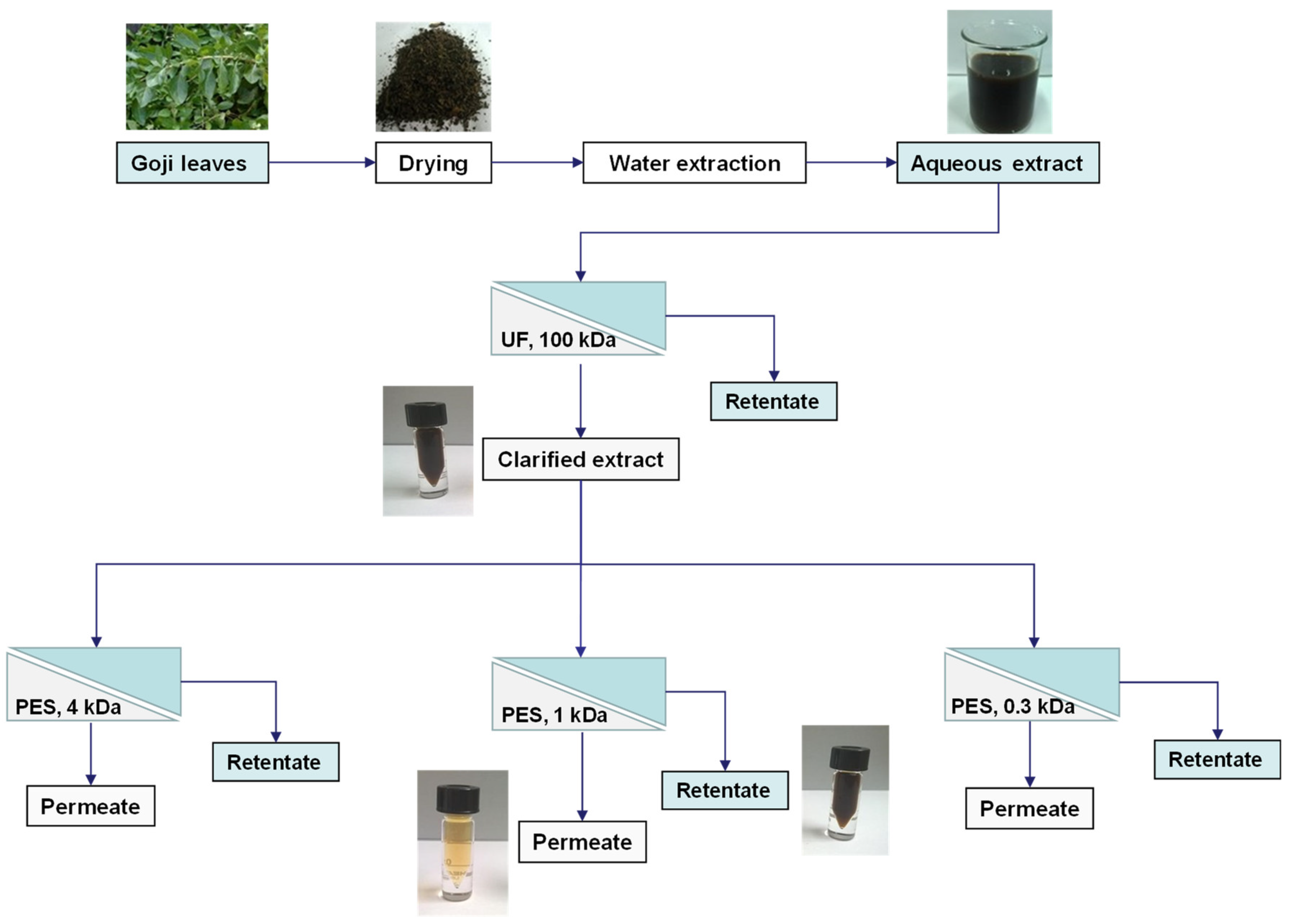 Biomolecules 10 00935 g001 Biomolecules 10 00935 g001