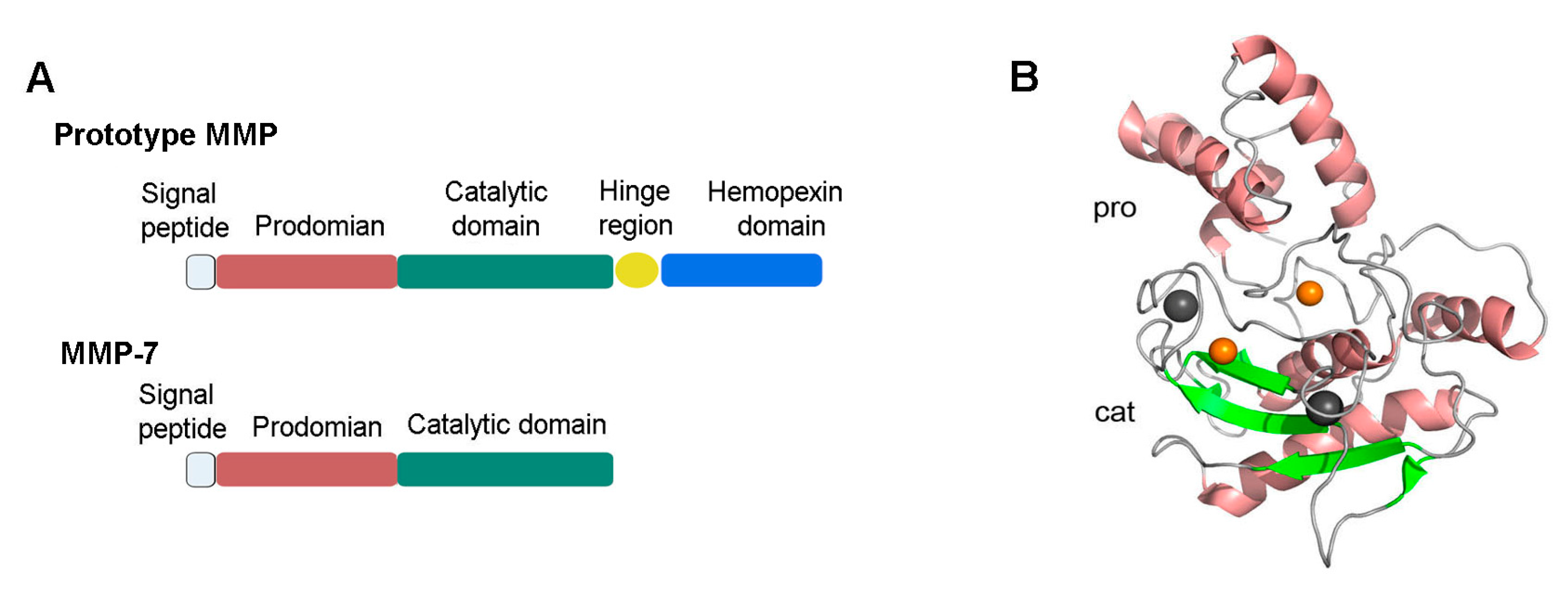 Biomolecules 10 00960 g001