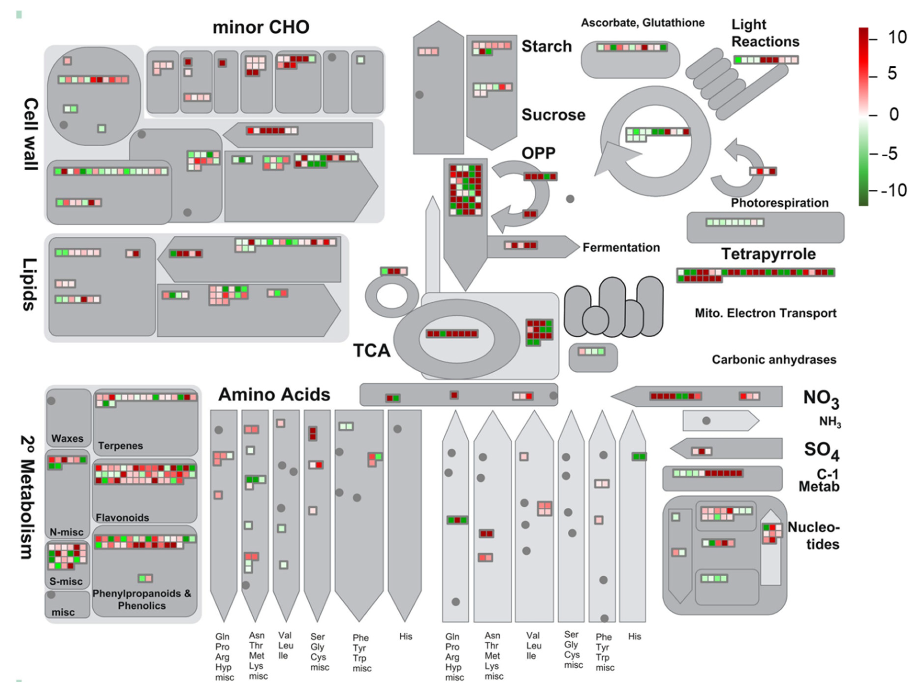 Biomolecules 10 00967 g006