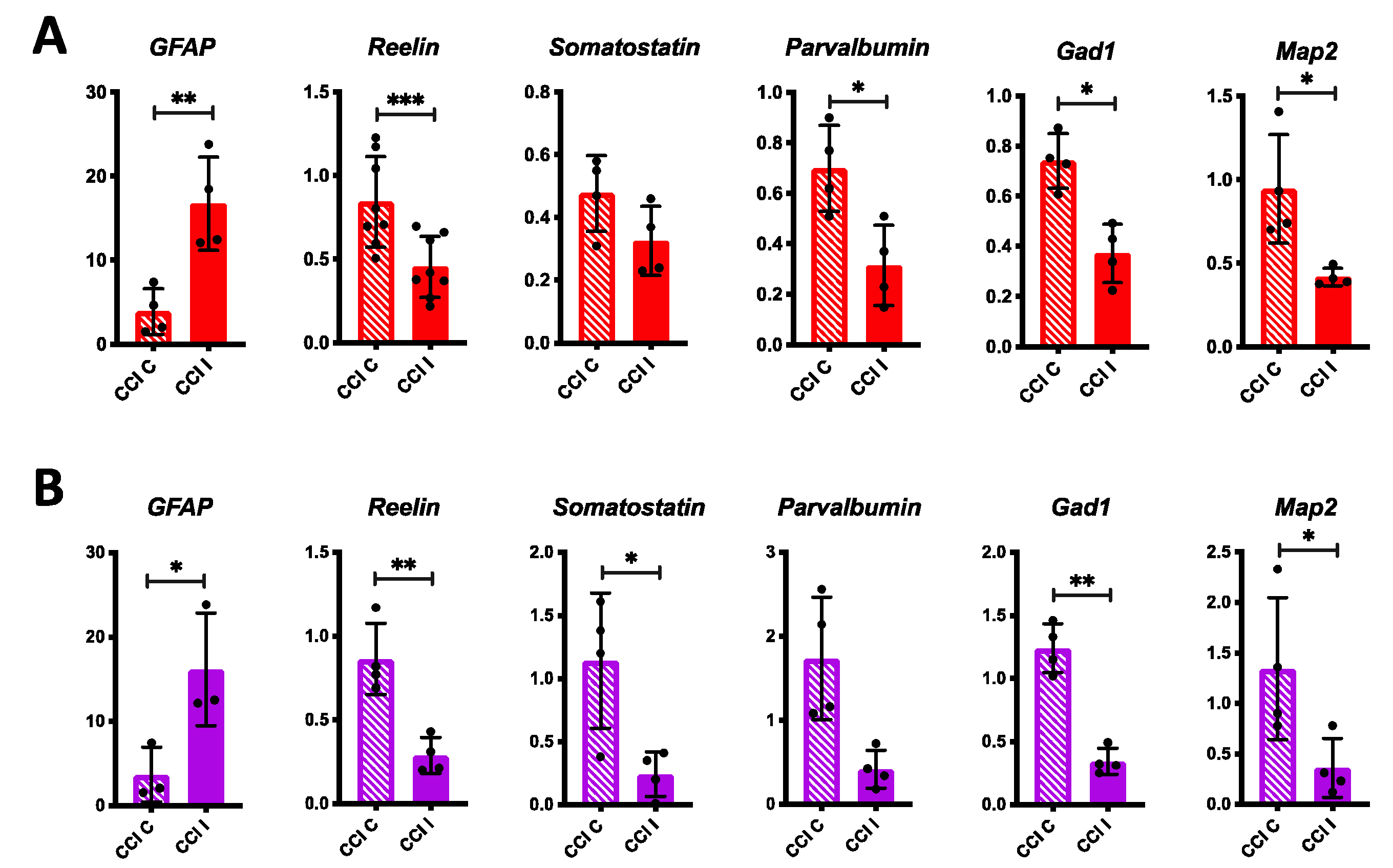 Biomolecules 10 00975 g003