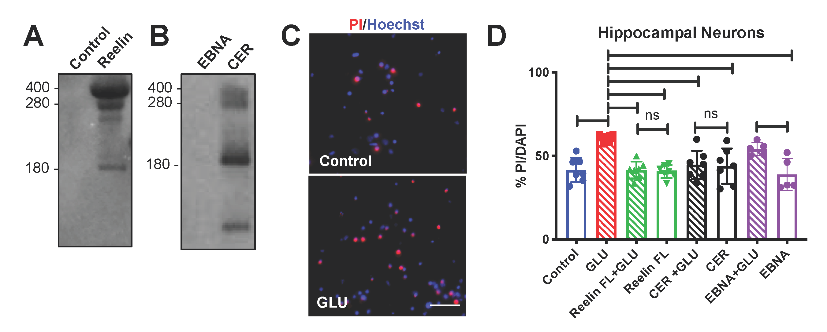 Biomolecules 10 00975 g006