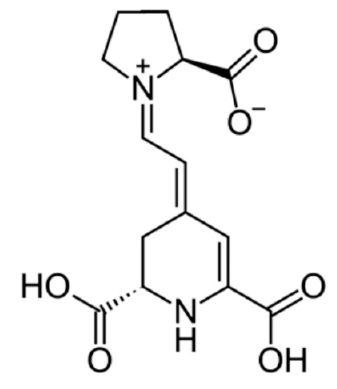 Biomolecules 10 00994 g001 Biomolecules 10 00994 g001