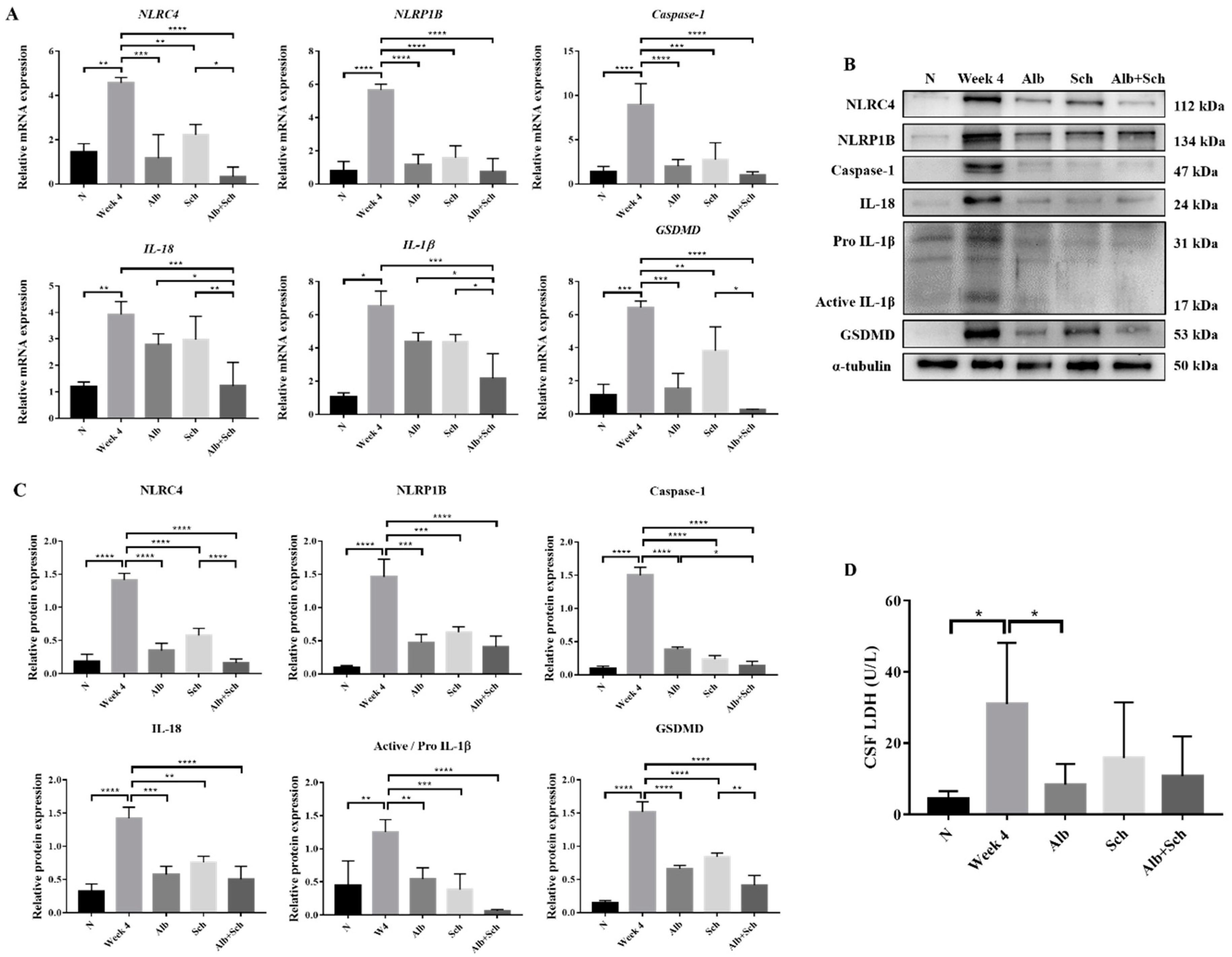 Biomolecules 10 01001 g003 Biomolecules 10 01001 g003