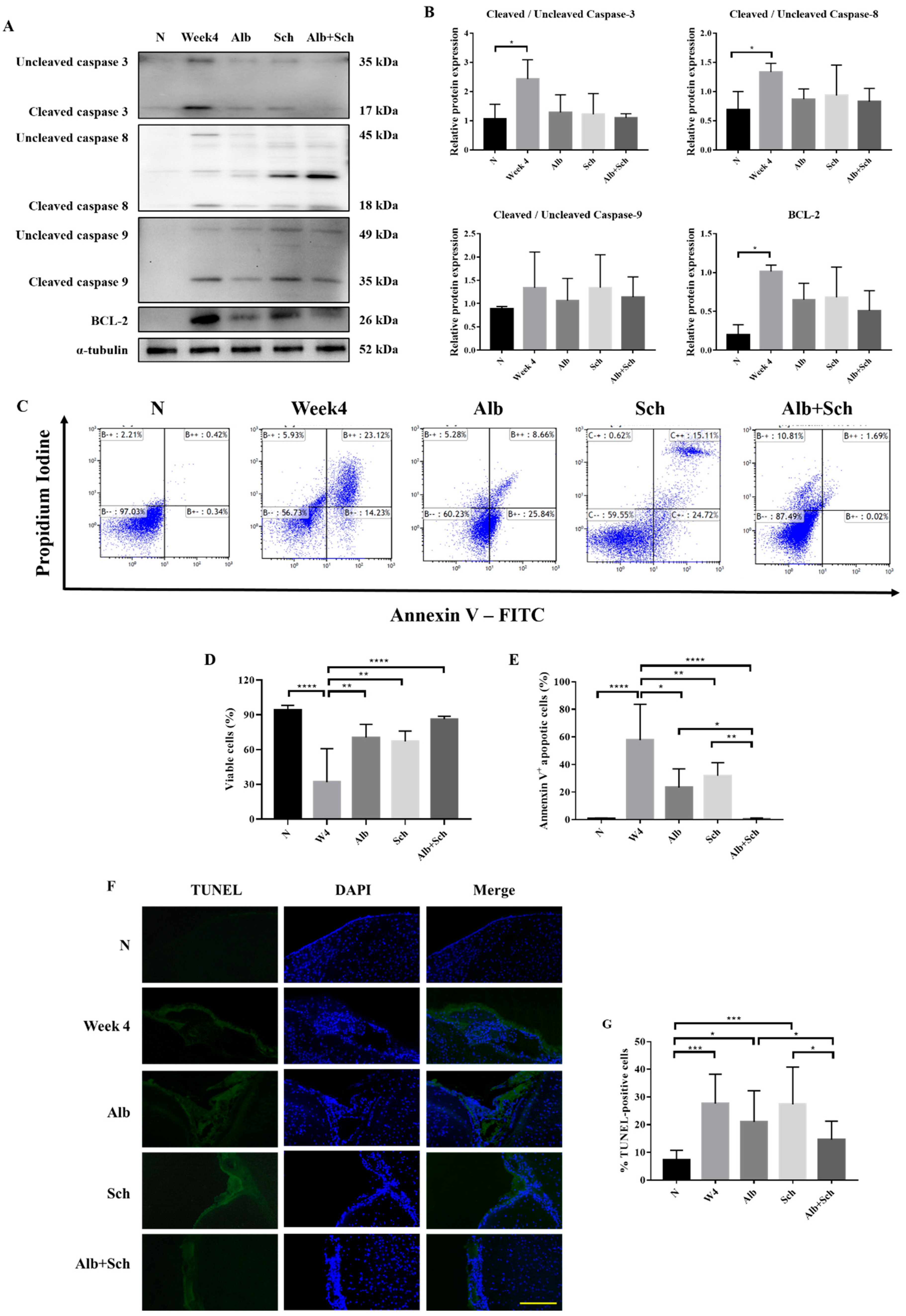 Biomolecules 10 01001 g004 Biomolecules 10 01001 g004