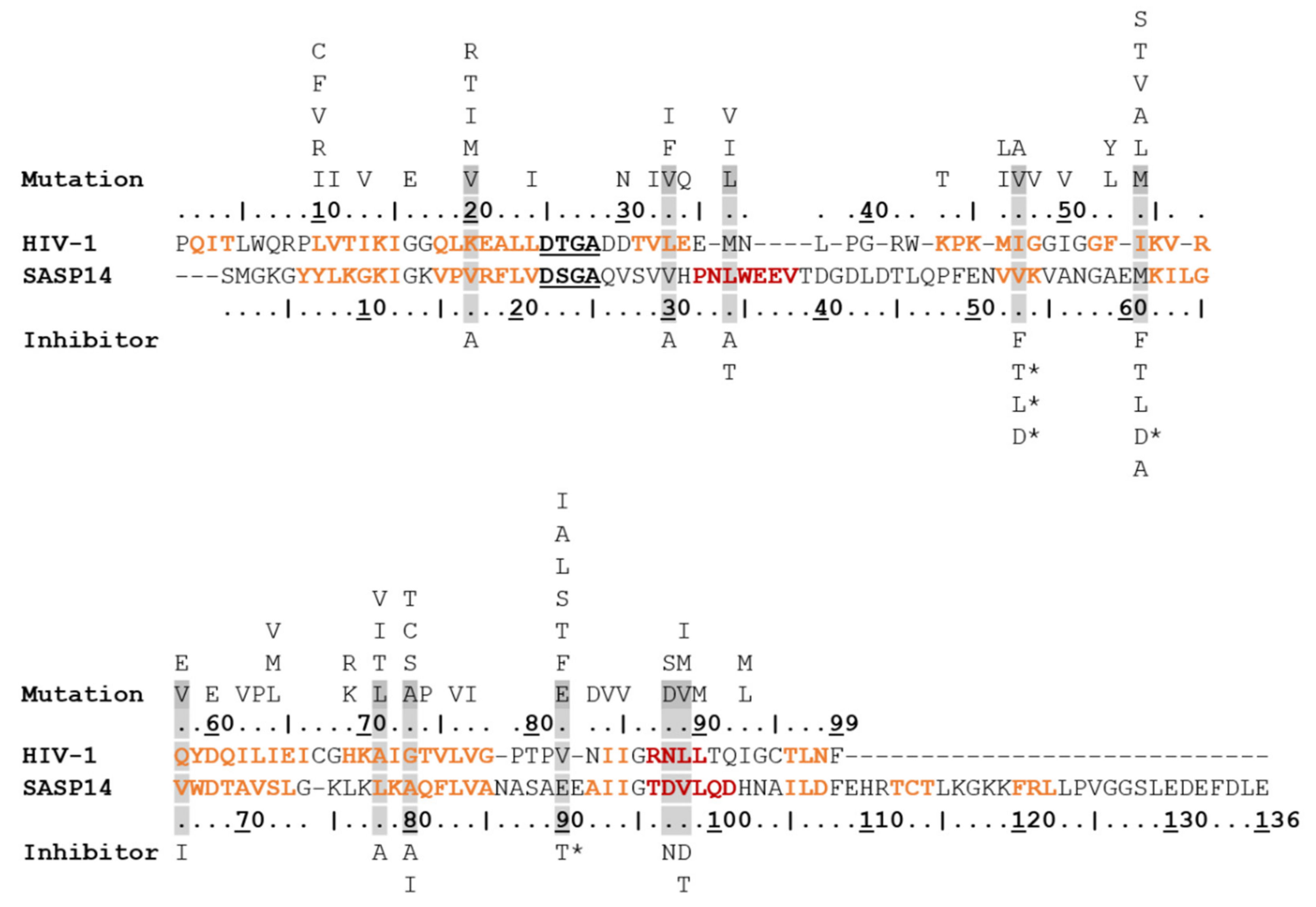 Biomolecules 10 01004 g009 Biomolecules 10 01004 g009