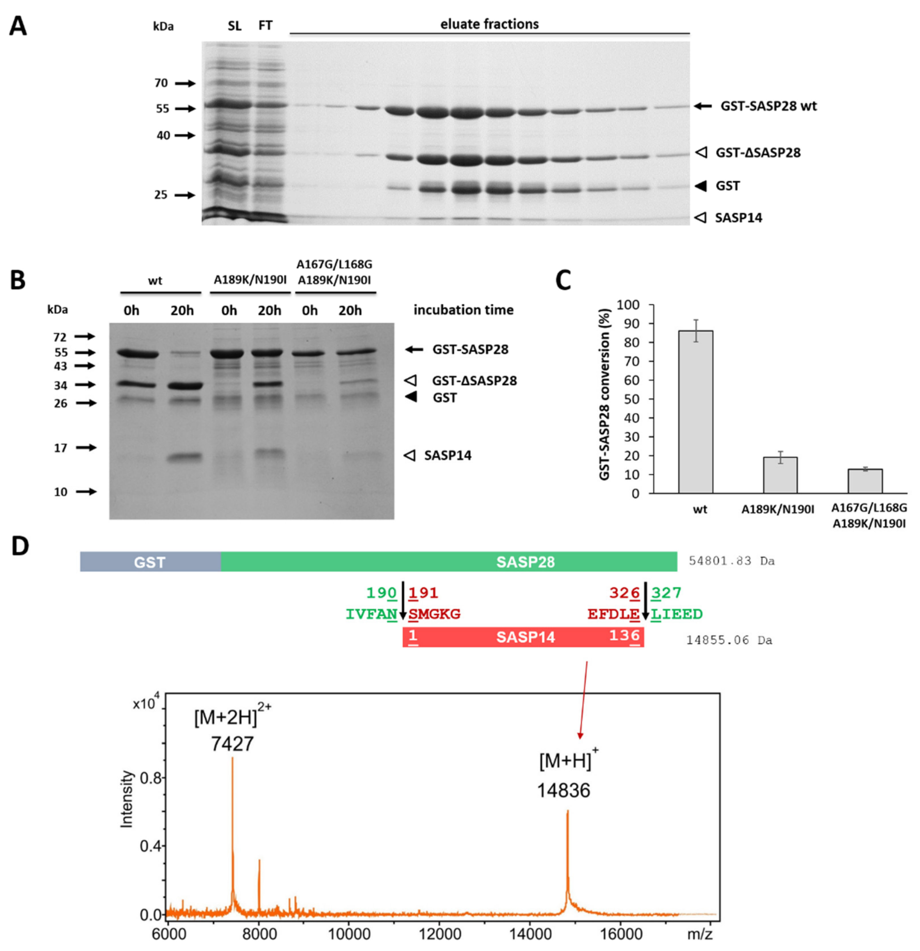 Biomolecules 10 01004 g010 Biomolecules 10 01004 g010