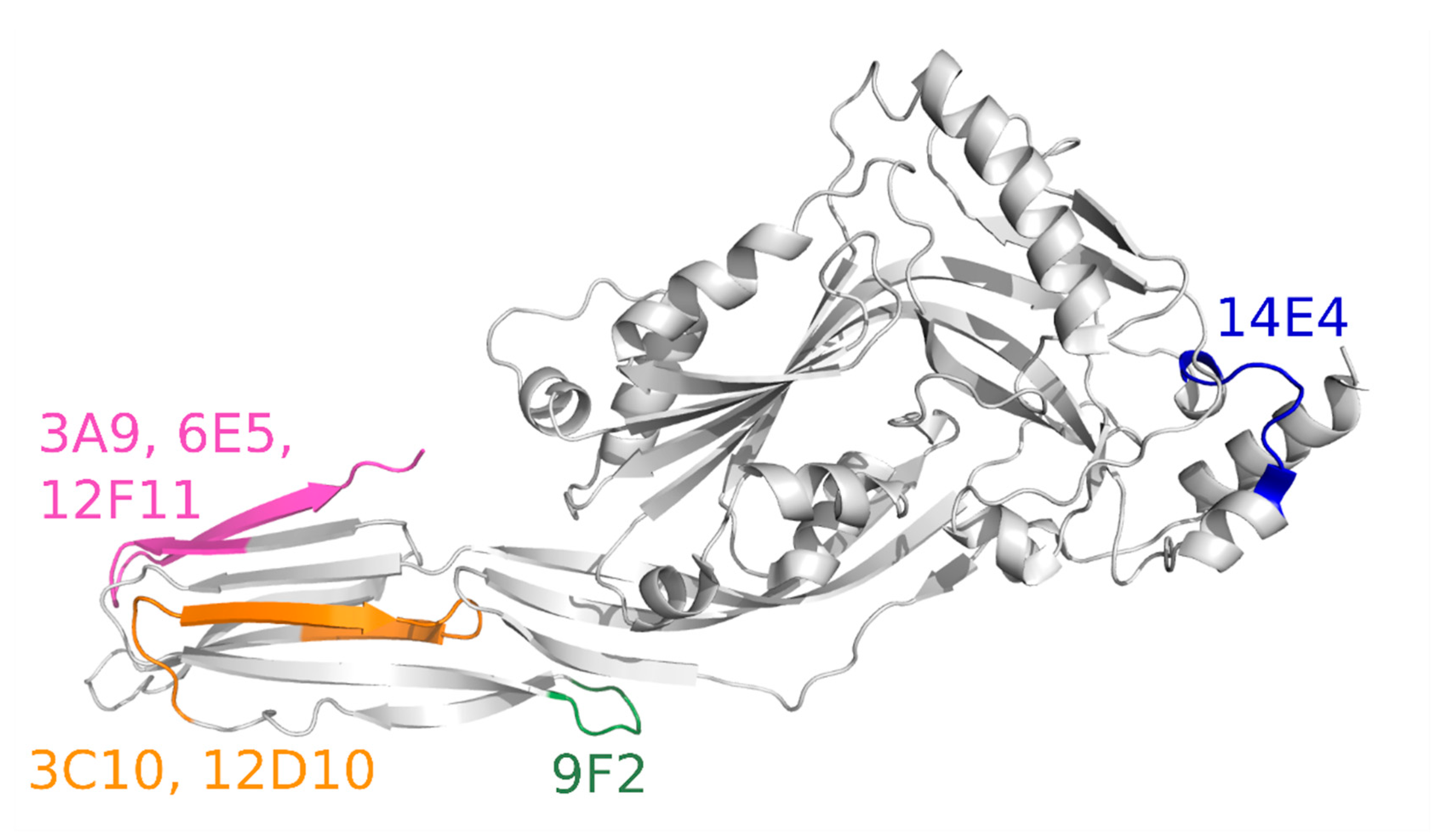 Biomolecules 10 01009 g004