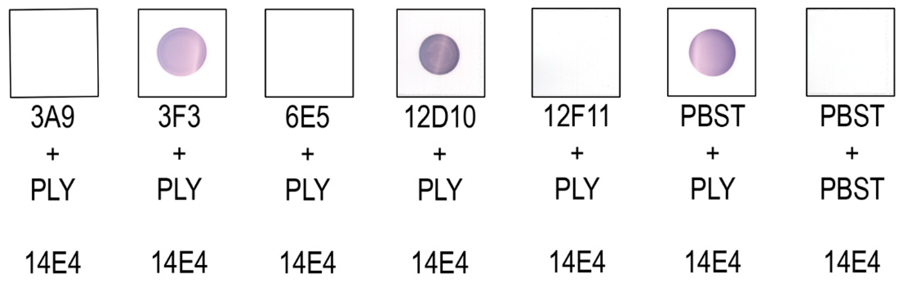 Biomolecules 10 01009 g006
