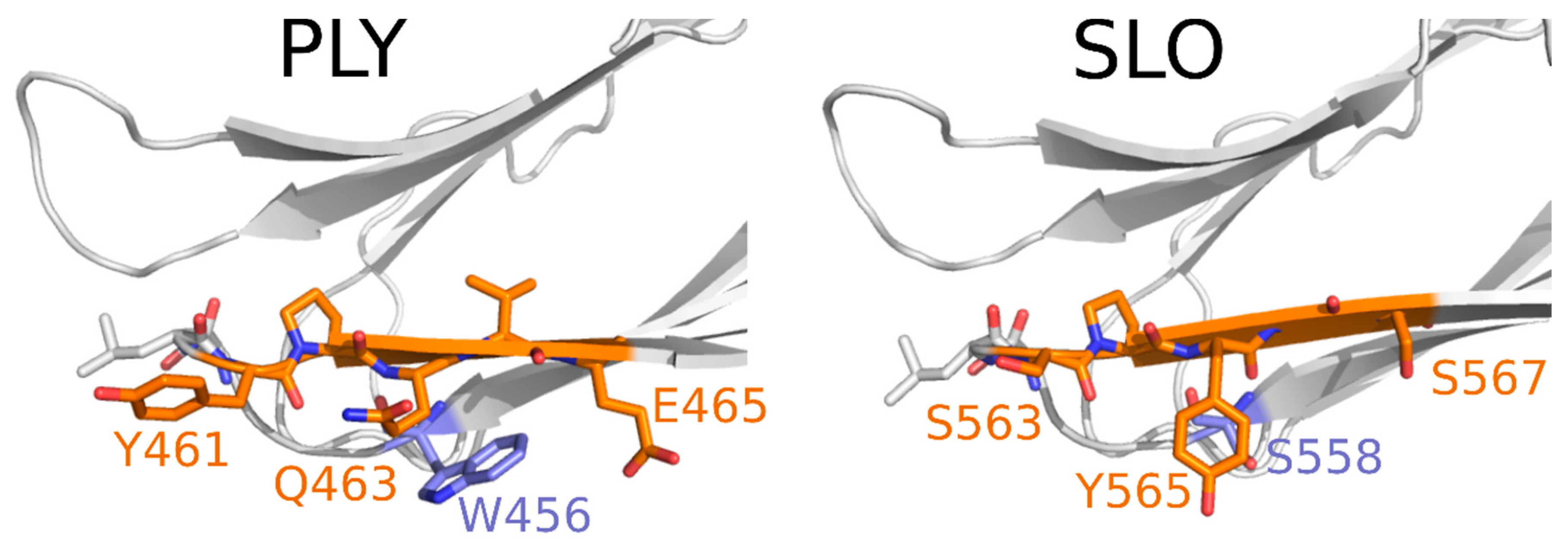Biomolecules 10 01009 g008