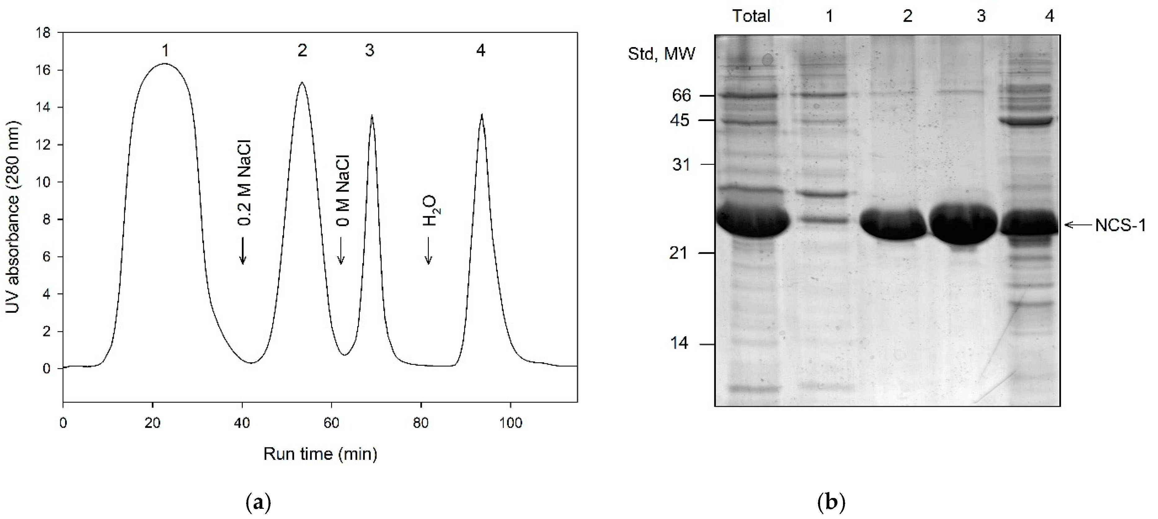Biomolecules 10 01025 g003