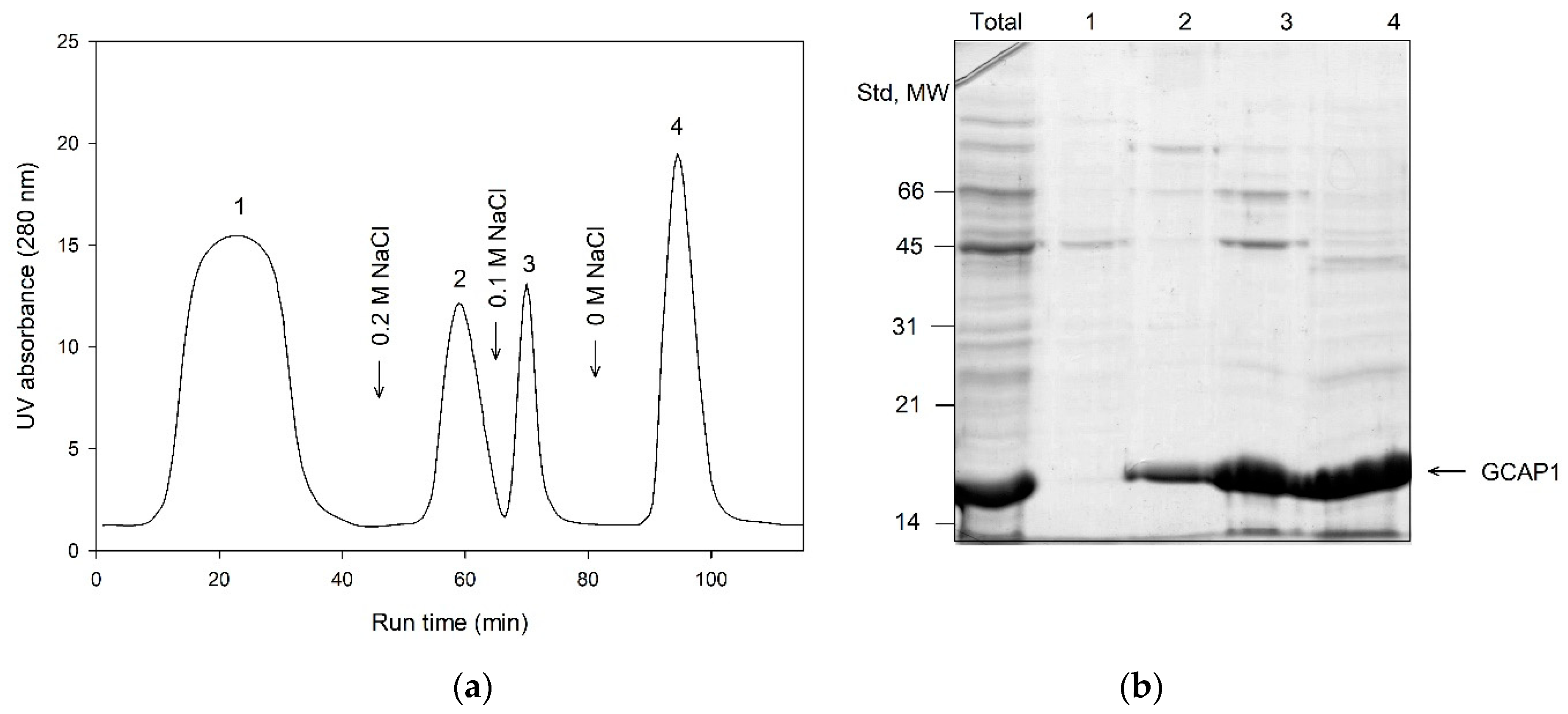 Biomolecules 10 01025 g004