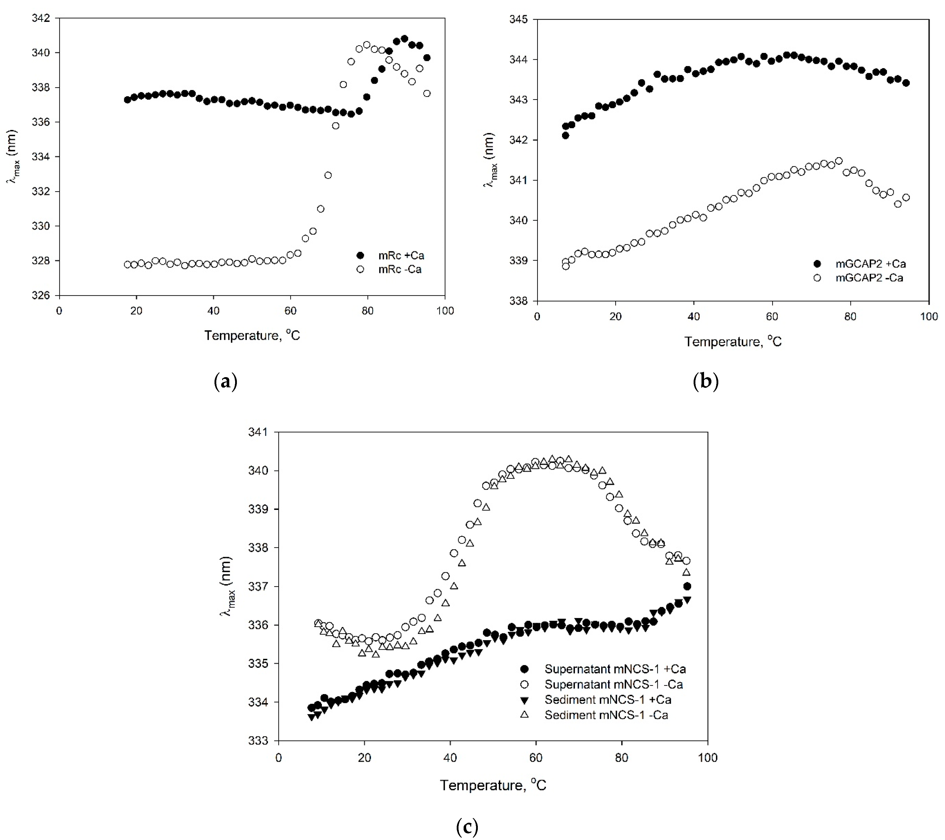 Biomolecules 10 01025 g006
