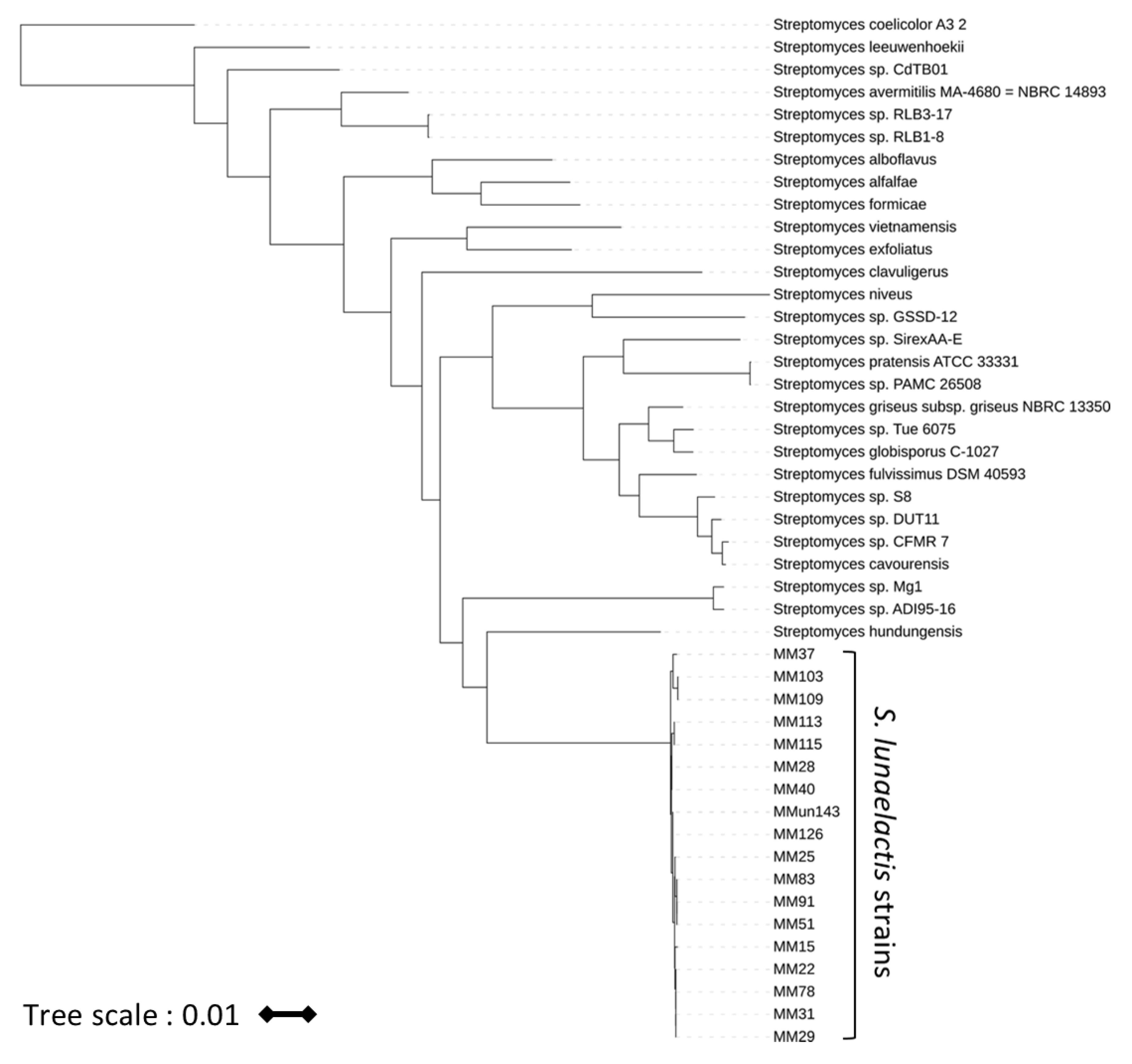 Biomolecules 10 01027 g001