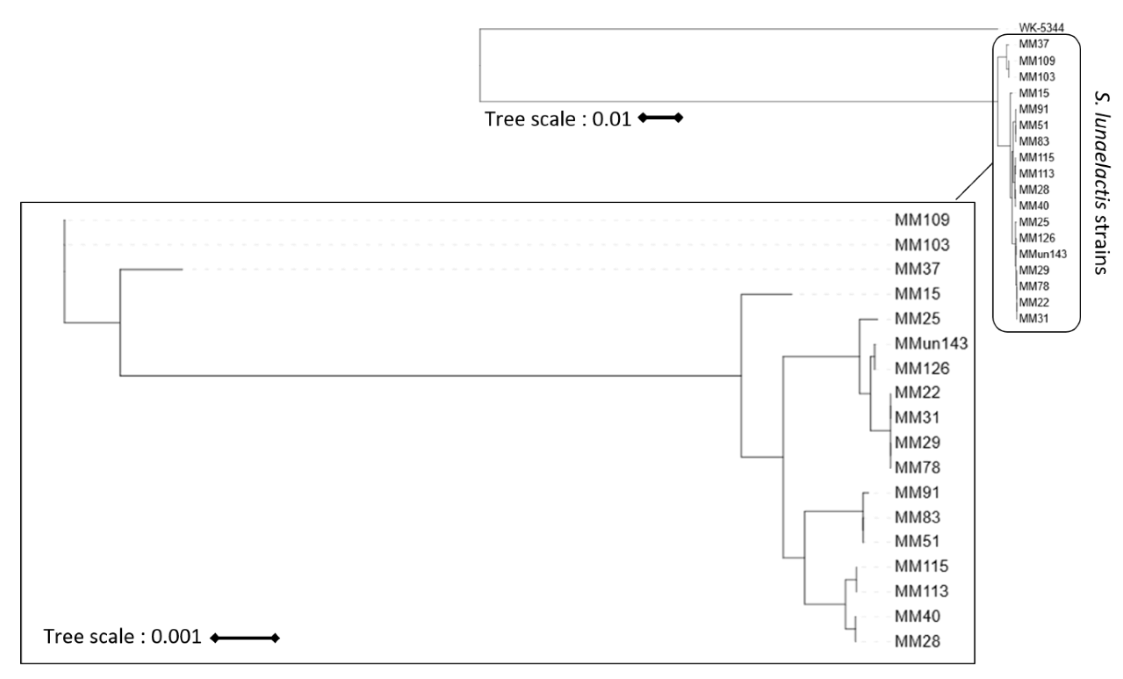 Biomolecules 10 01027 g003