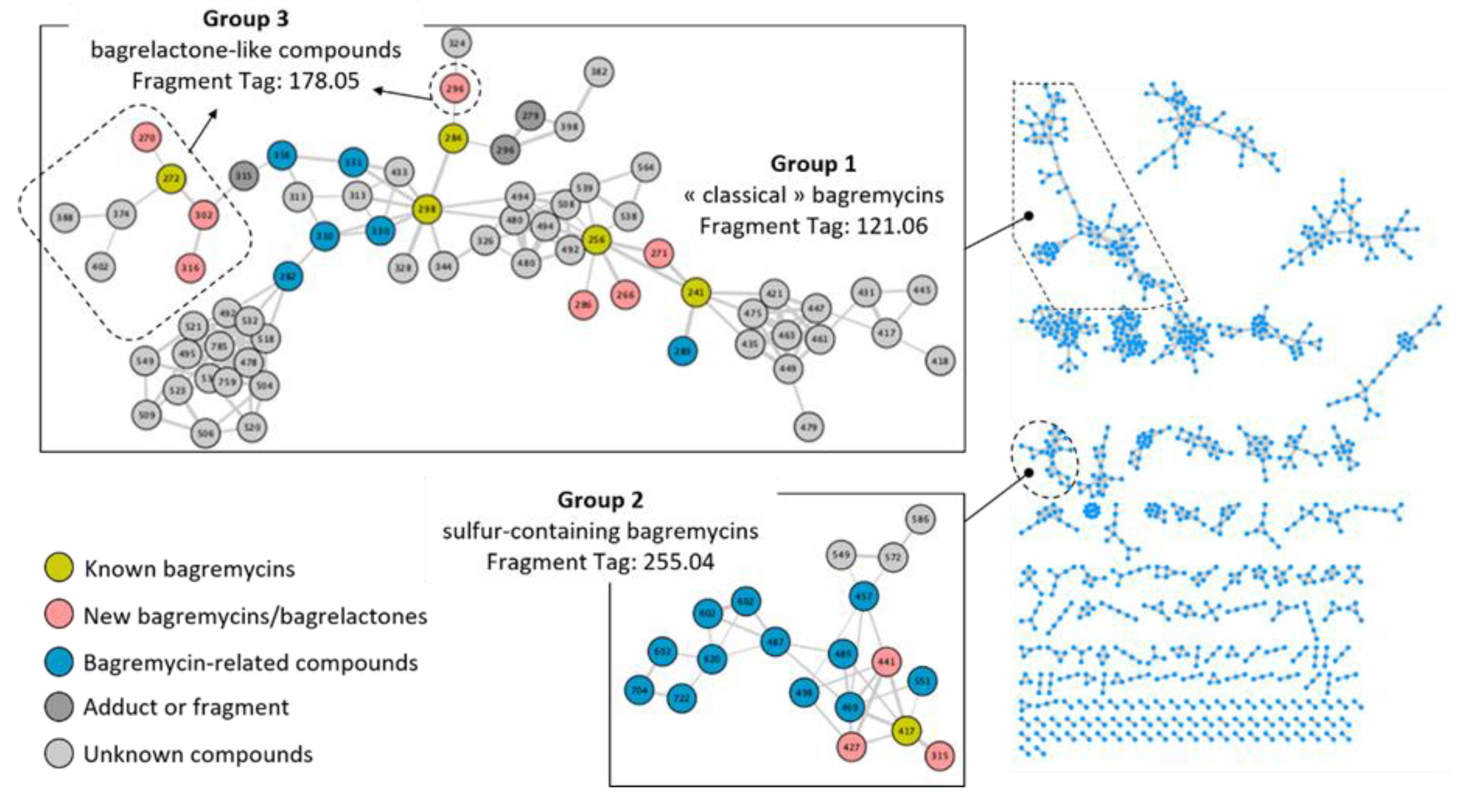 Biomolecules 10 01027 g006