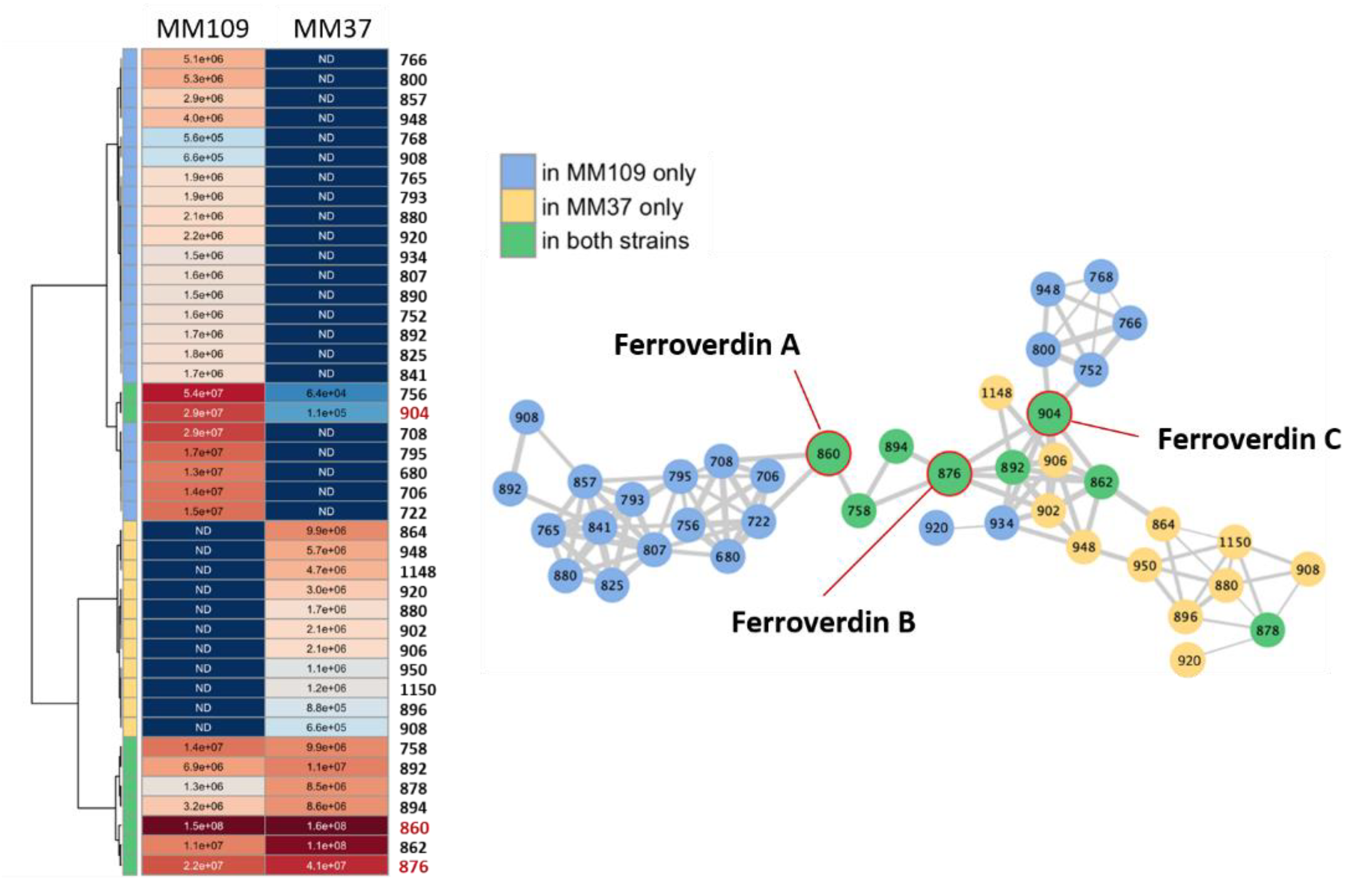 Biomolecules 10 01027 g009