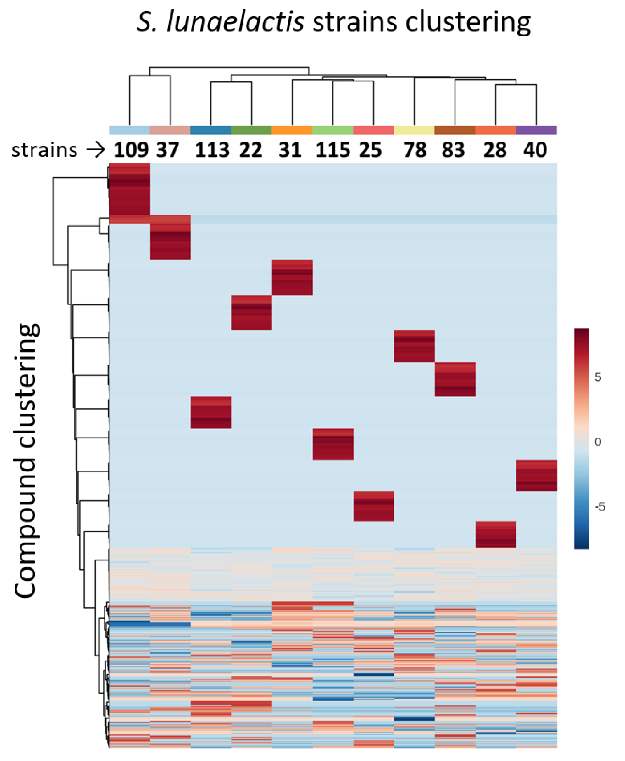 Biomolecules 10 01027 g010
