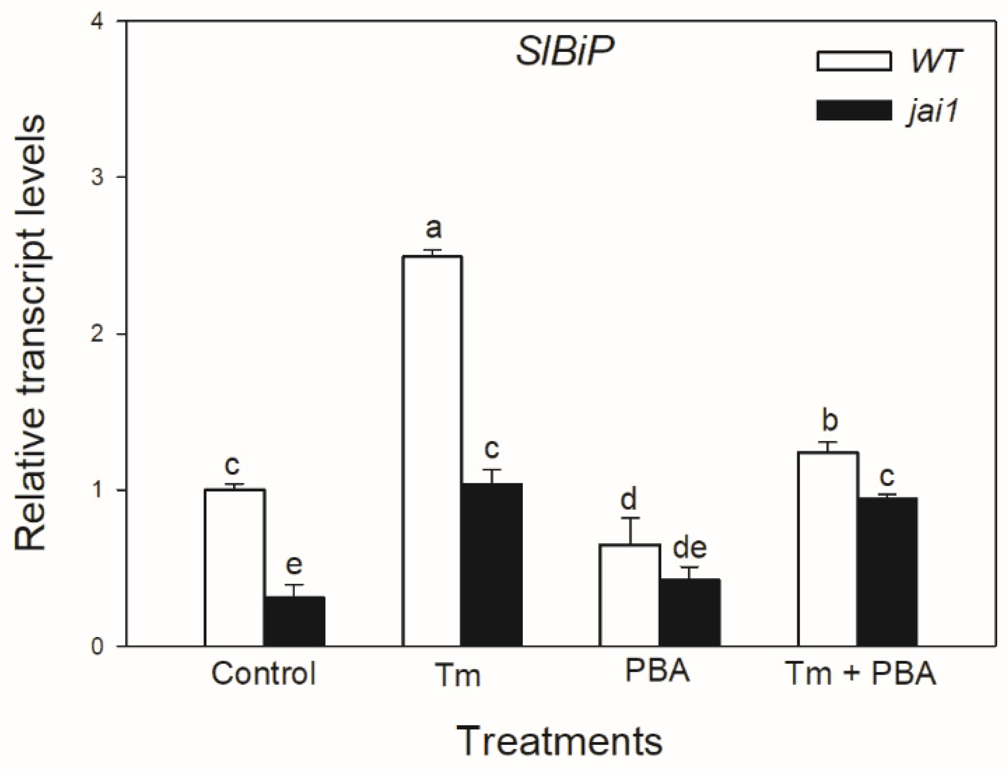 Biomolecules 10 01031 g004