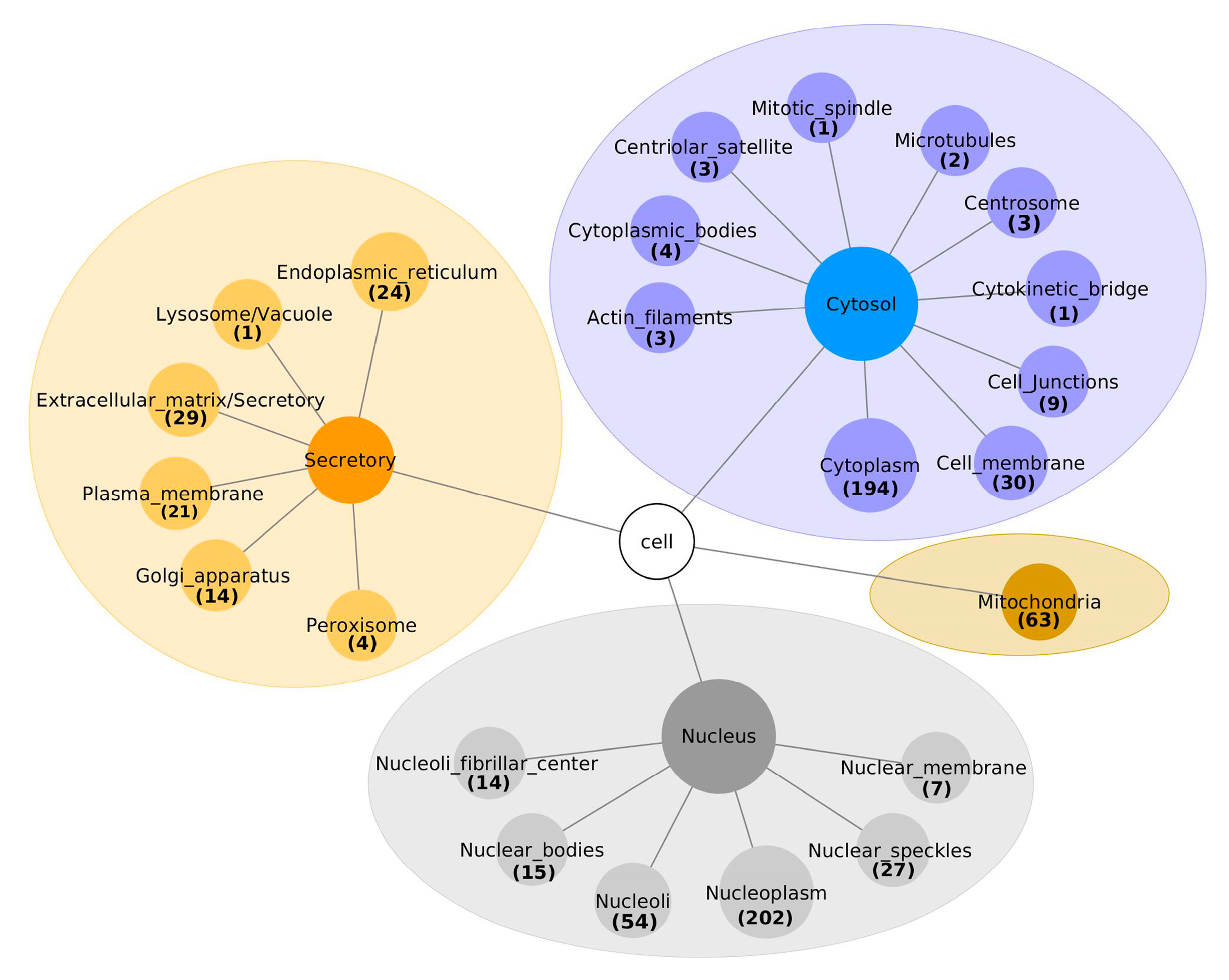 Biomolecules 10 01034 g002 Biomolecules 10 01034 g002