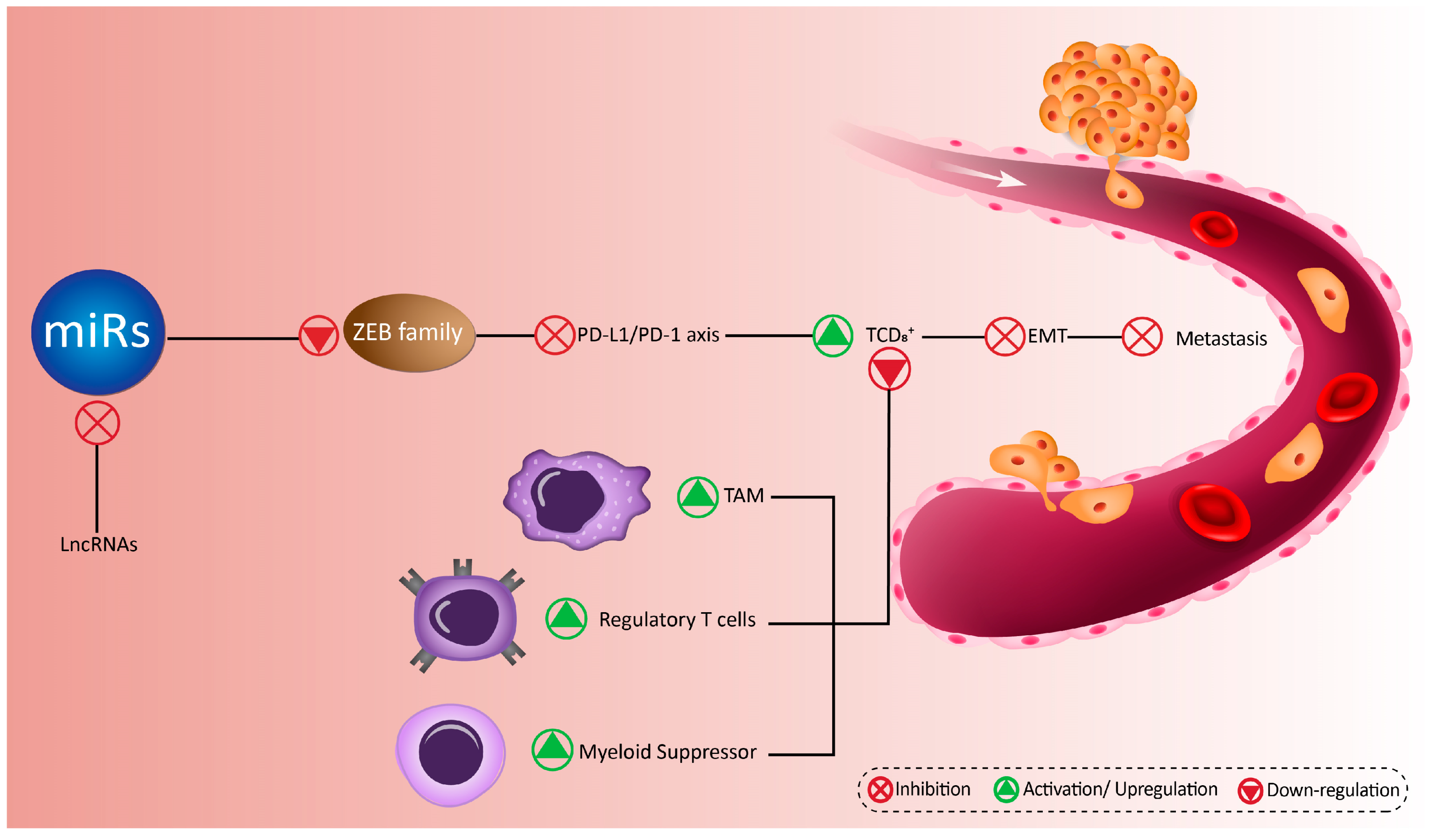 Biomolecules 10 01040 g004