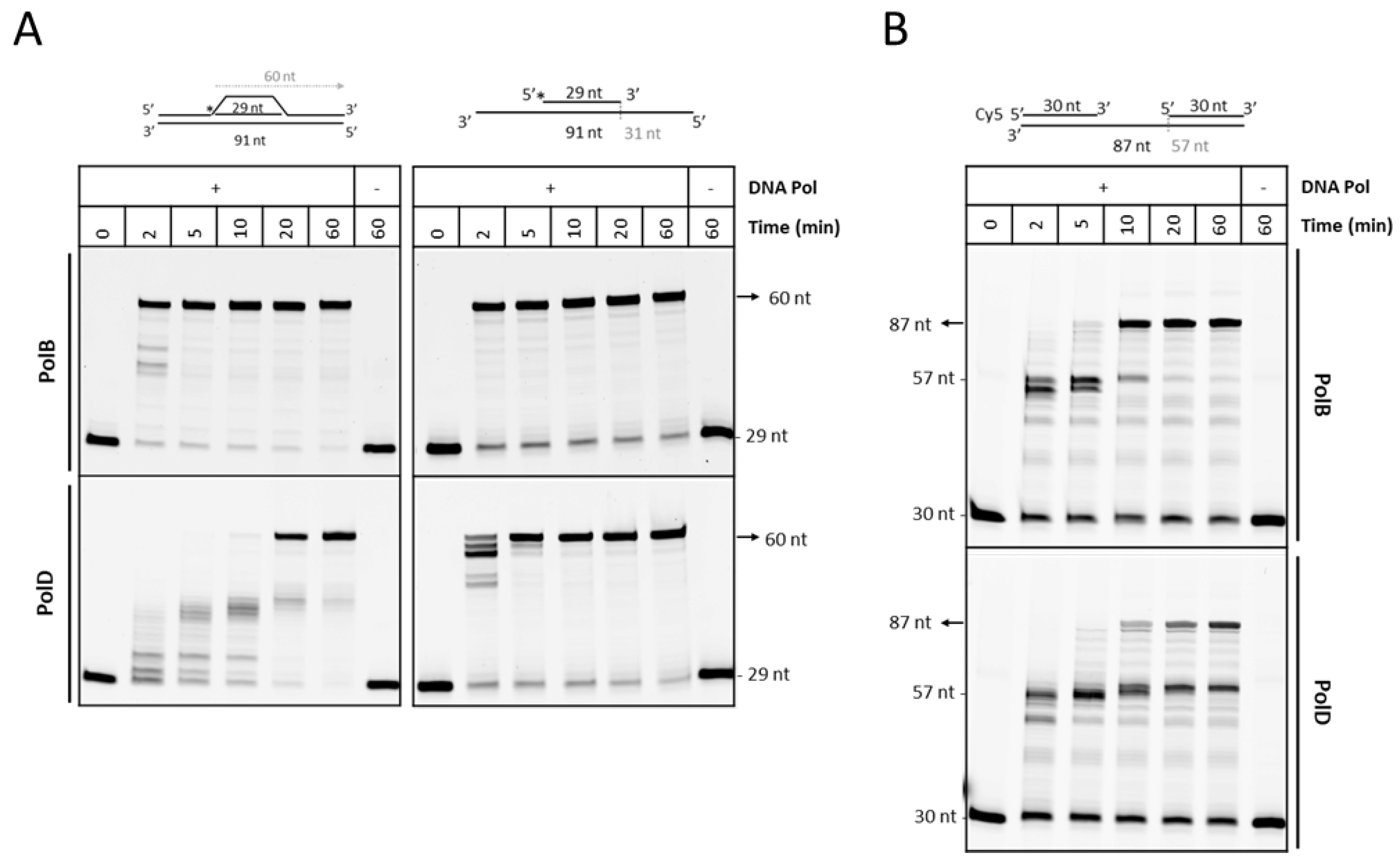 Biomolecules 10 01045 g003 Biomolecules 10 01045 g003