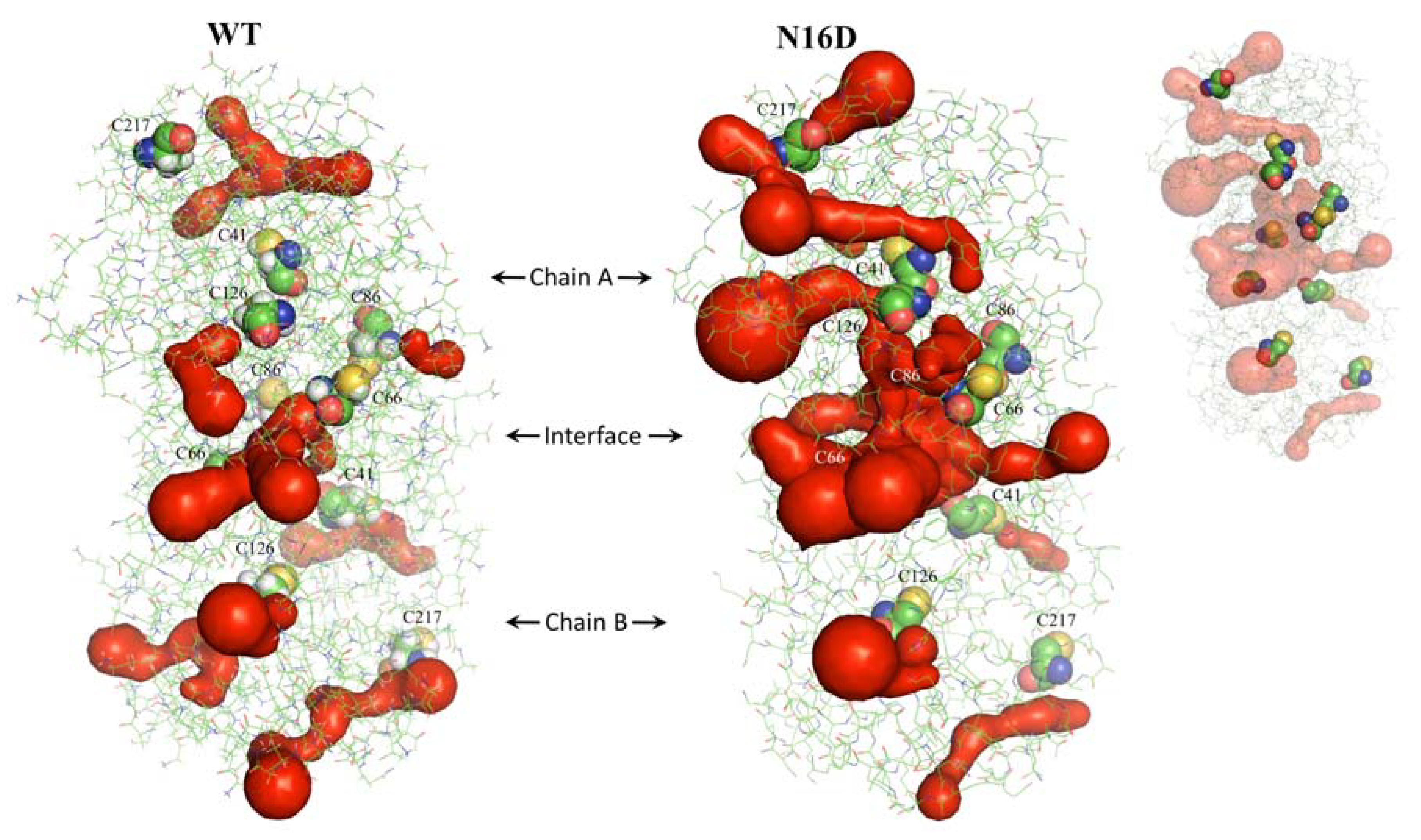 Biomolecules 10 01050 g002 Biomolecules 10 01050 g002