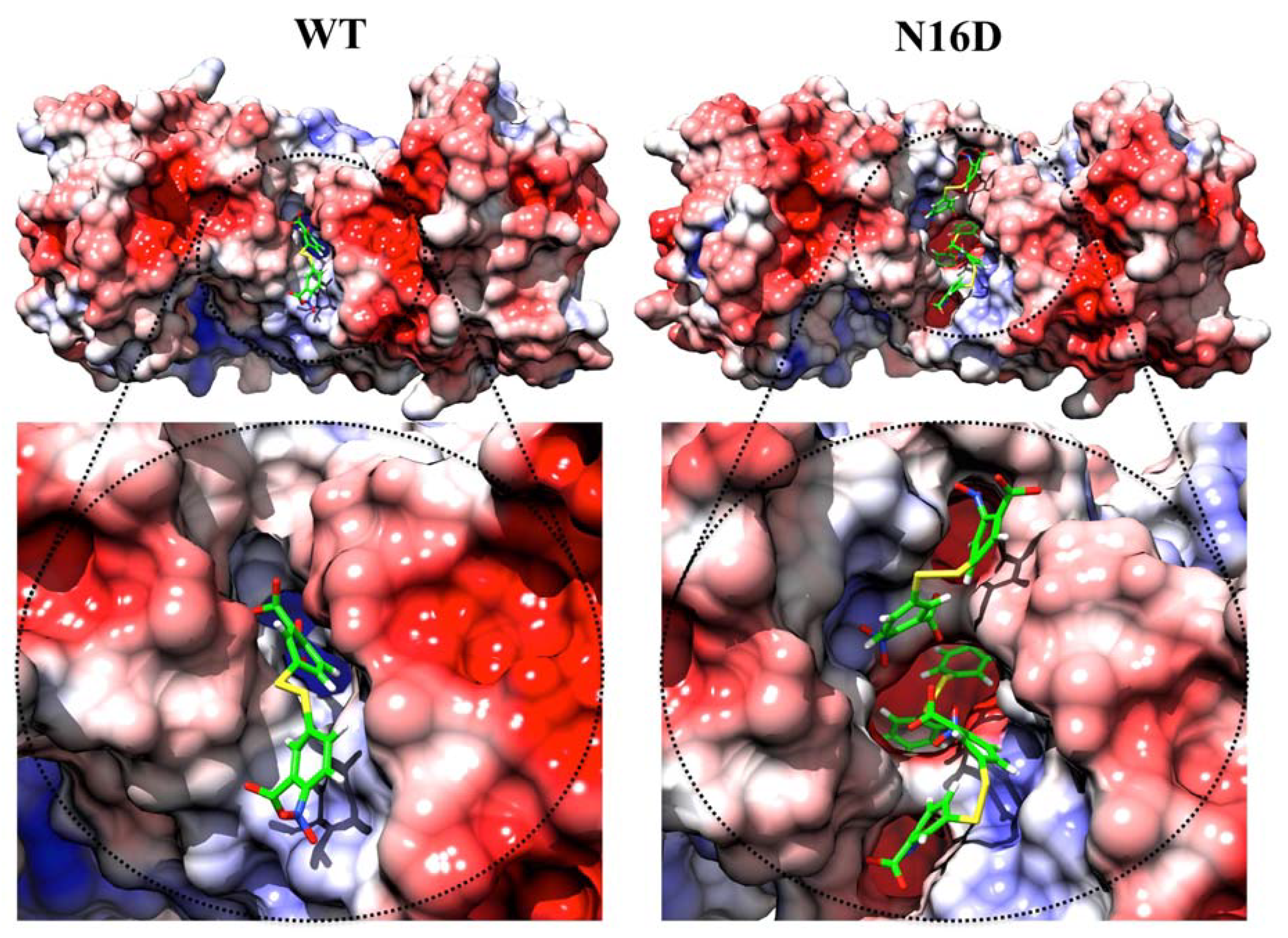Biomolecules 10 01050 g003 Biomolecules 10 01050 g003