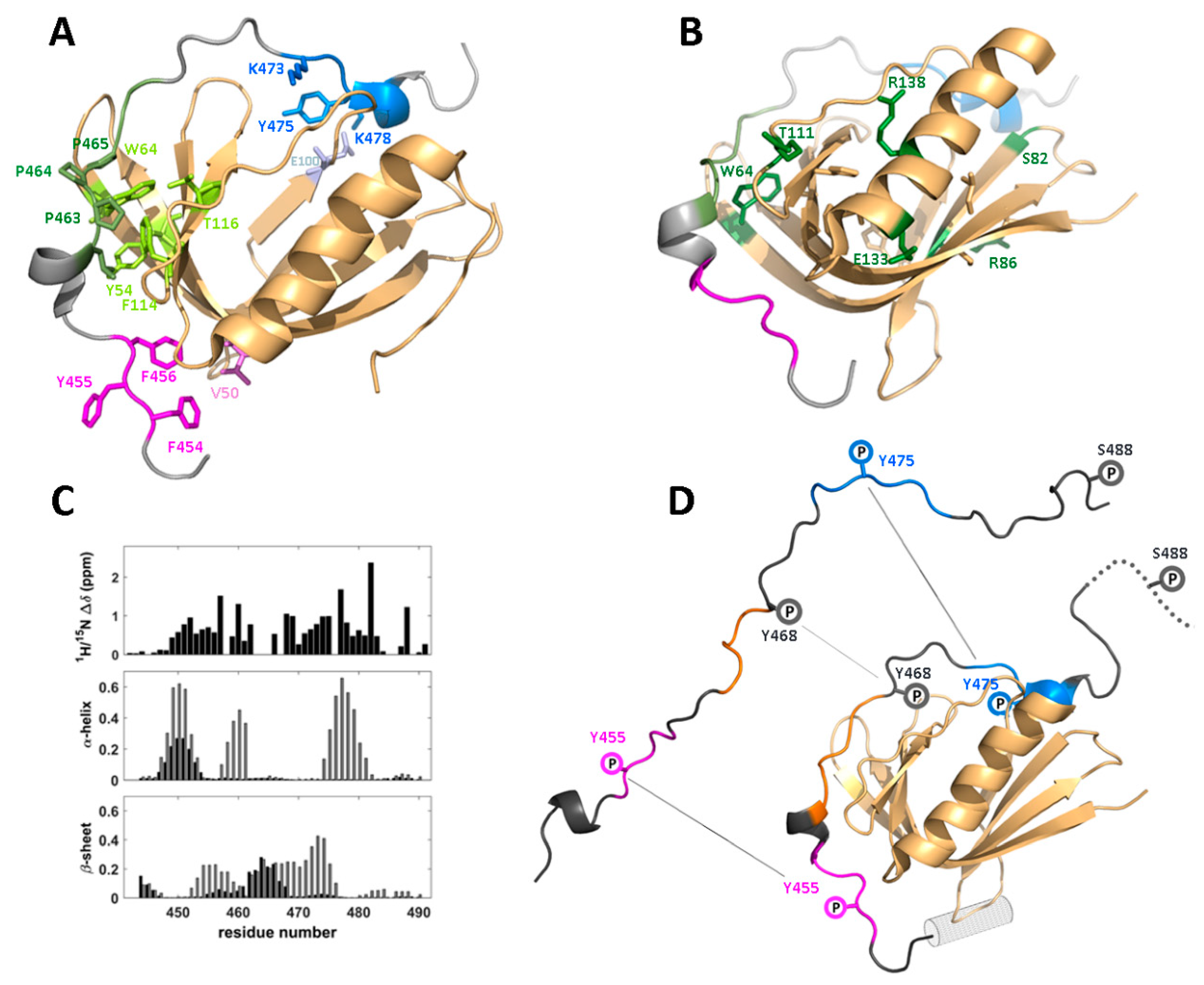Biomolecules | Free Full-Text | The Disordered Cellular Multi-Tasker WIP  and Its Protein–Protein Interactions: A Structural View | HTML