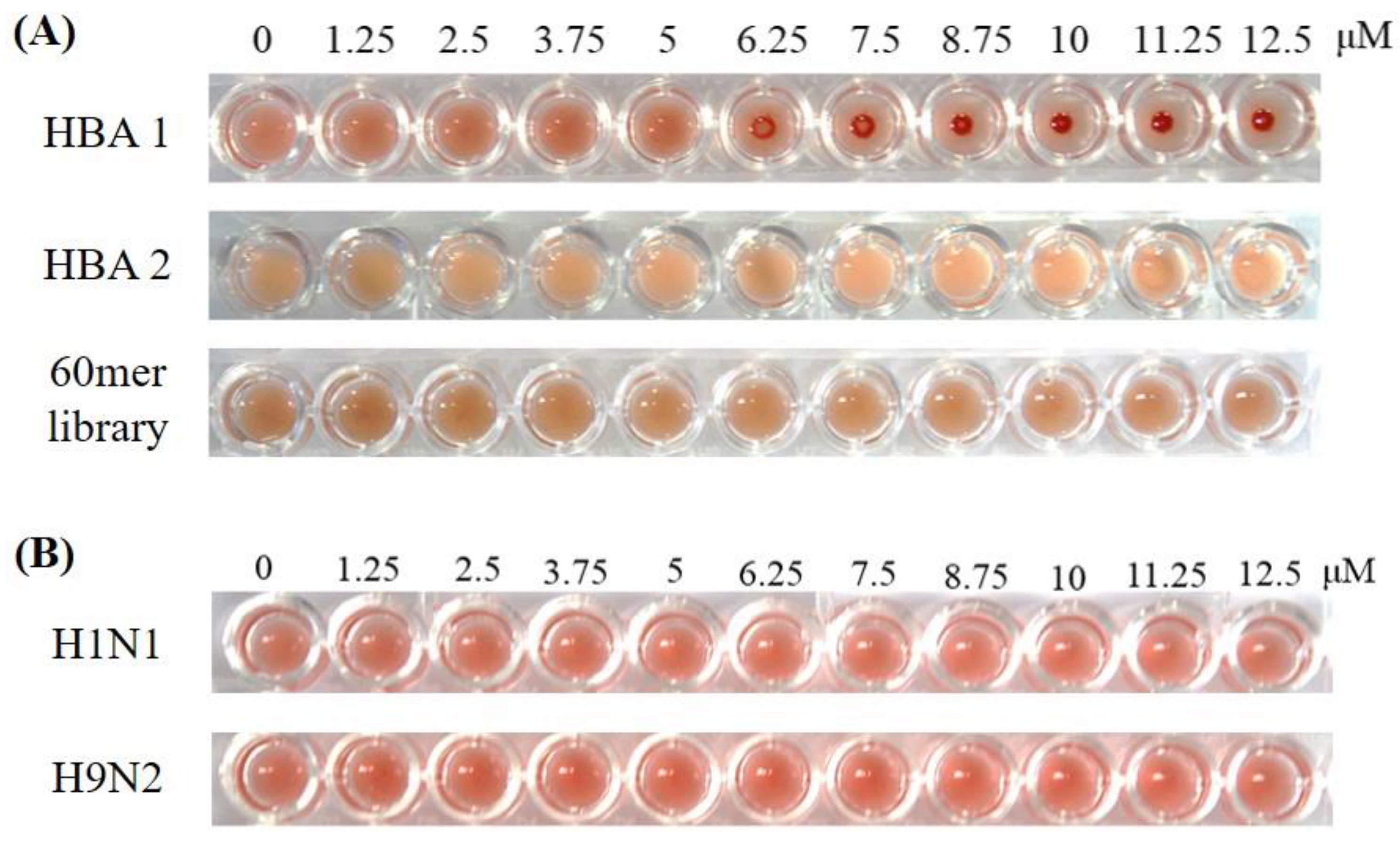Biomolecules 10 01116 g005