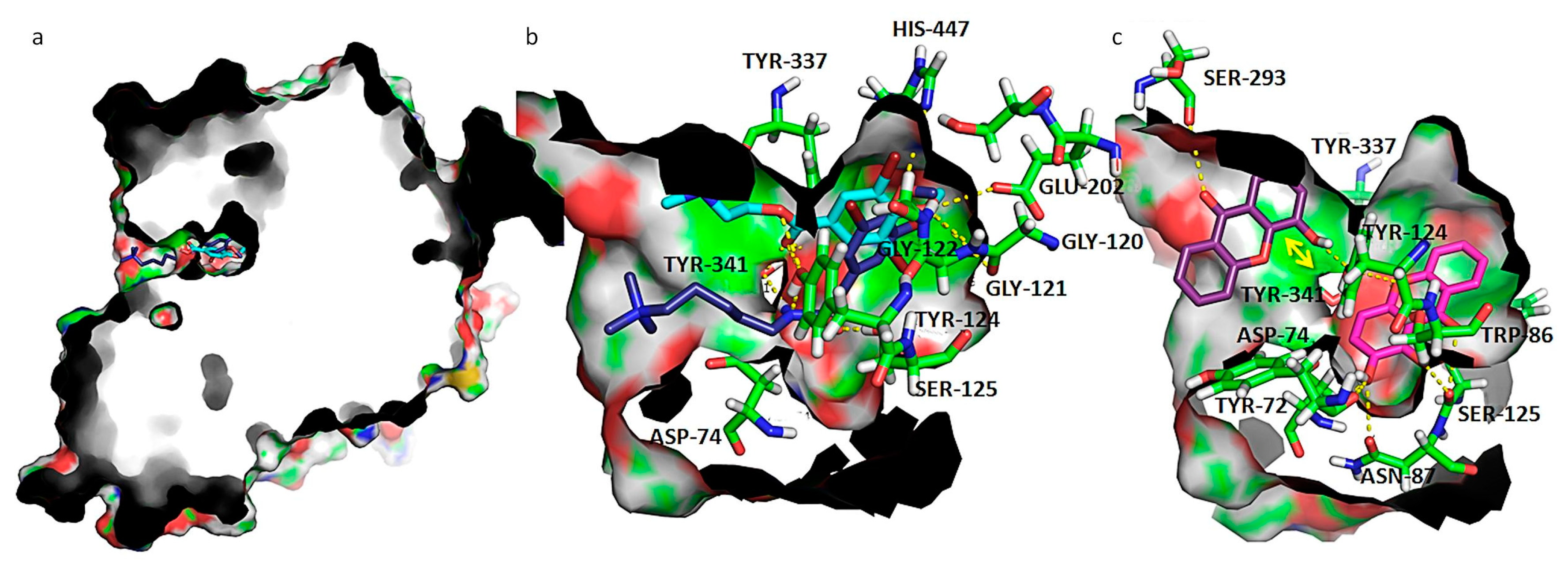 Biomolecules 10 01126 g005