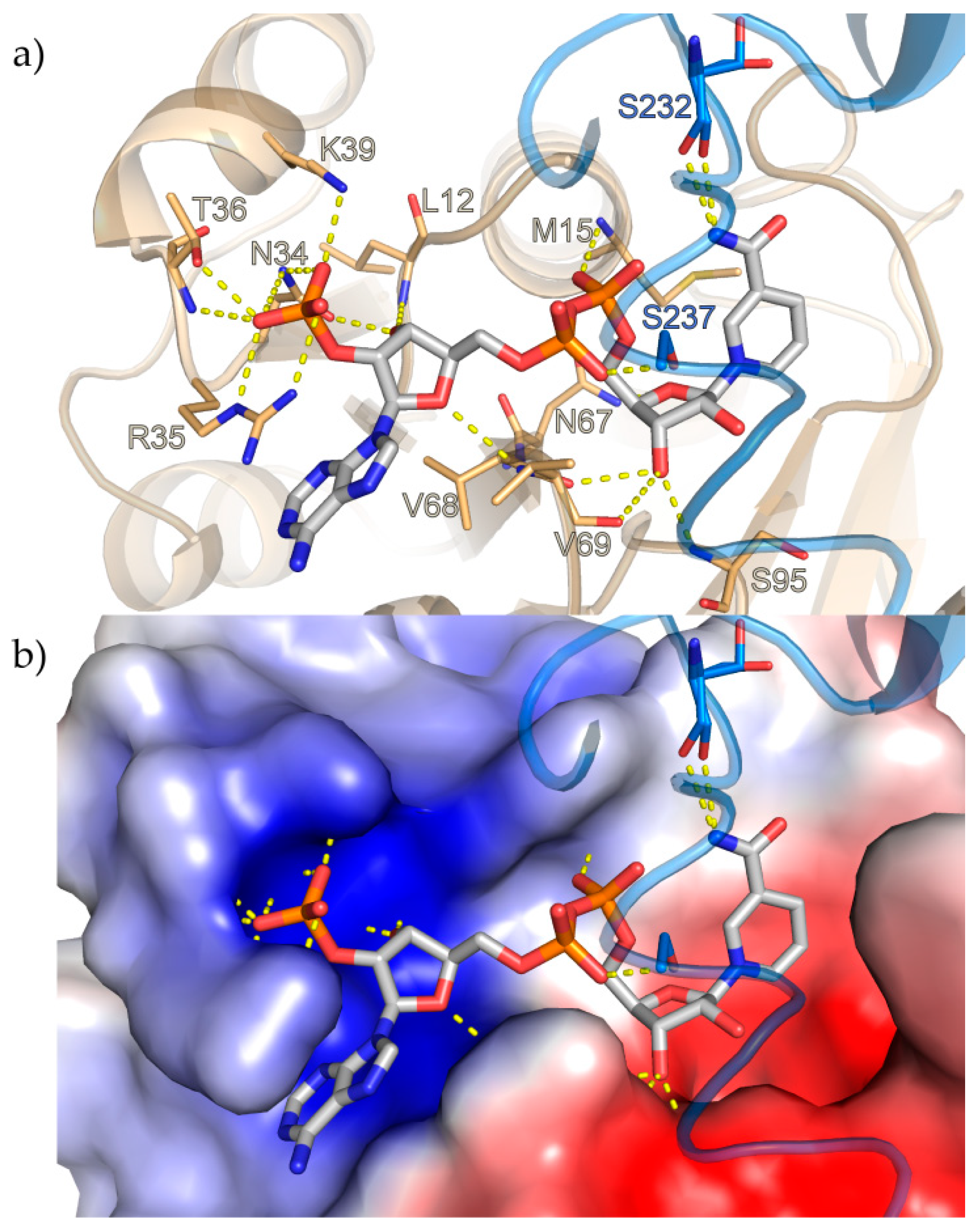 Biomolecules 10 01130 g002