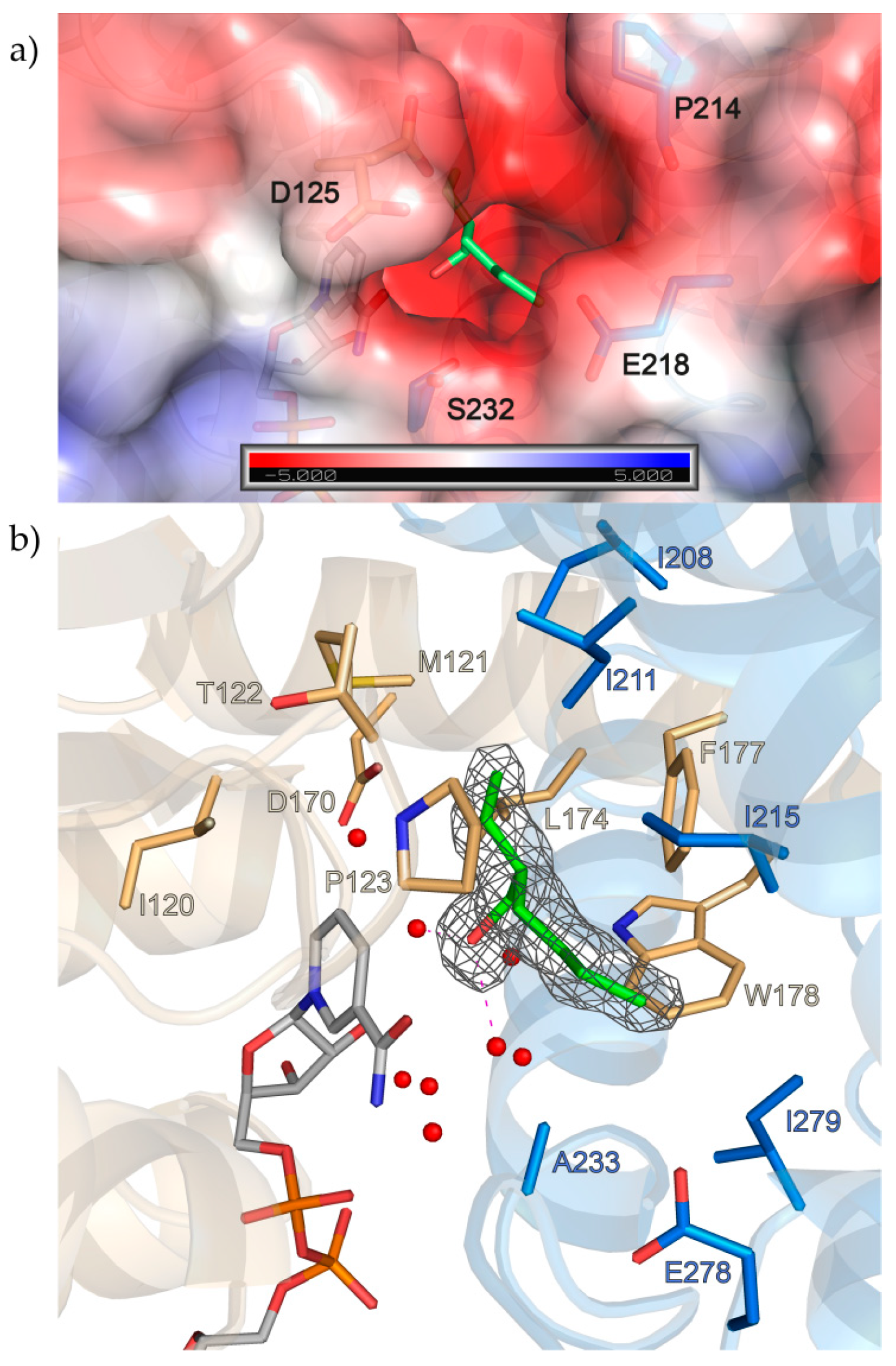Biomolecules 10 01130 g003