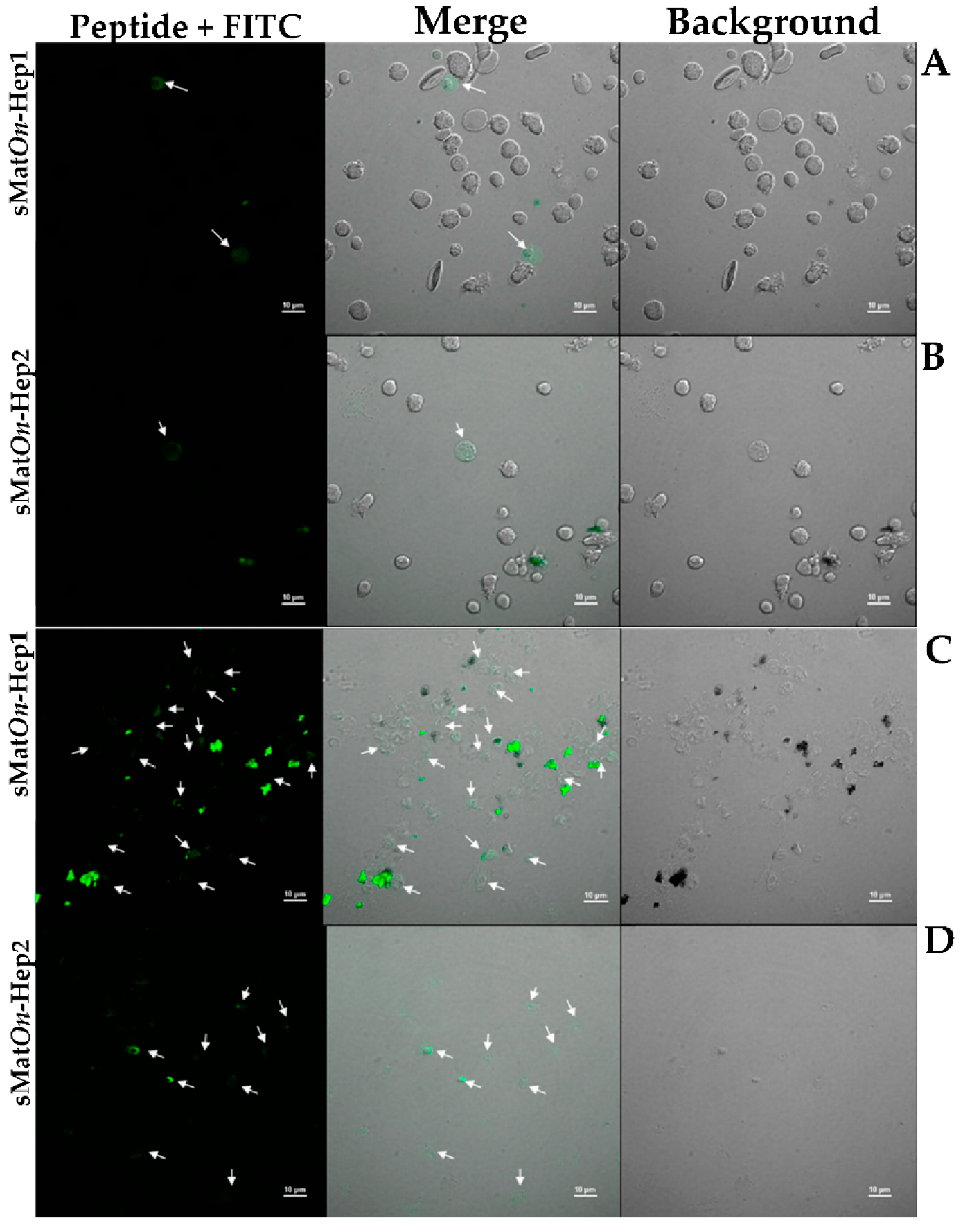 Biomolecules 10 01132 g008 Biomolecules 10 01132 g008