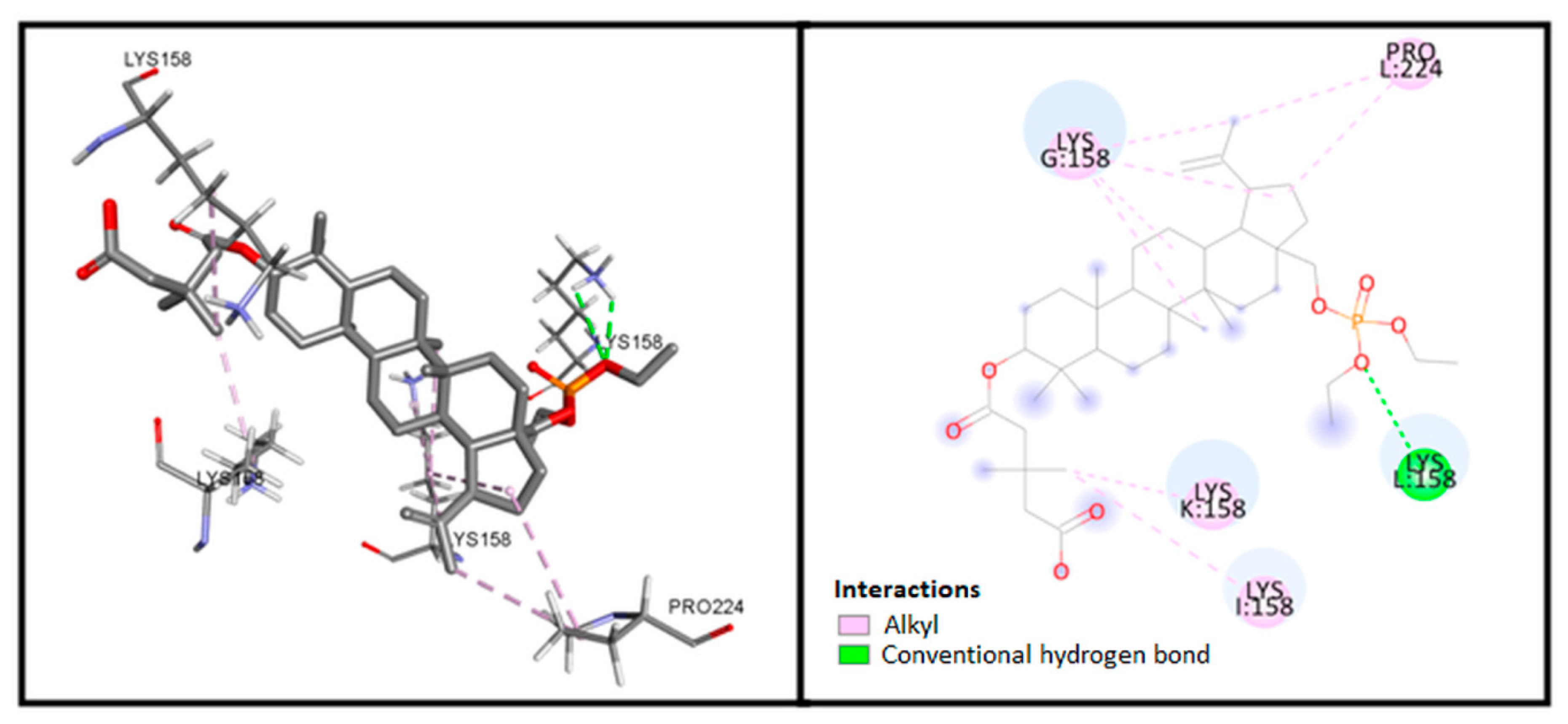 Biomolecules 10 01148 g004 Biomolecules 10 01148 g004