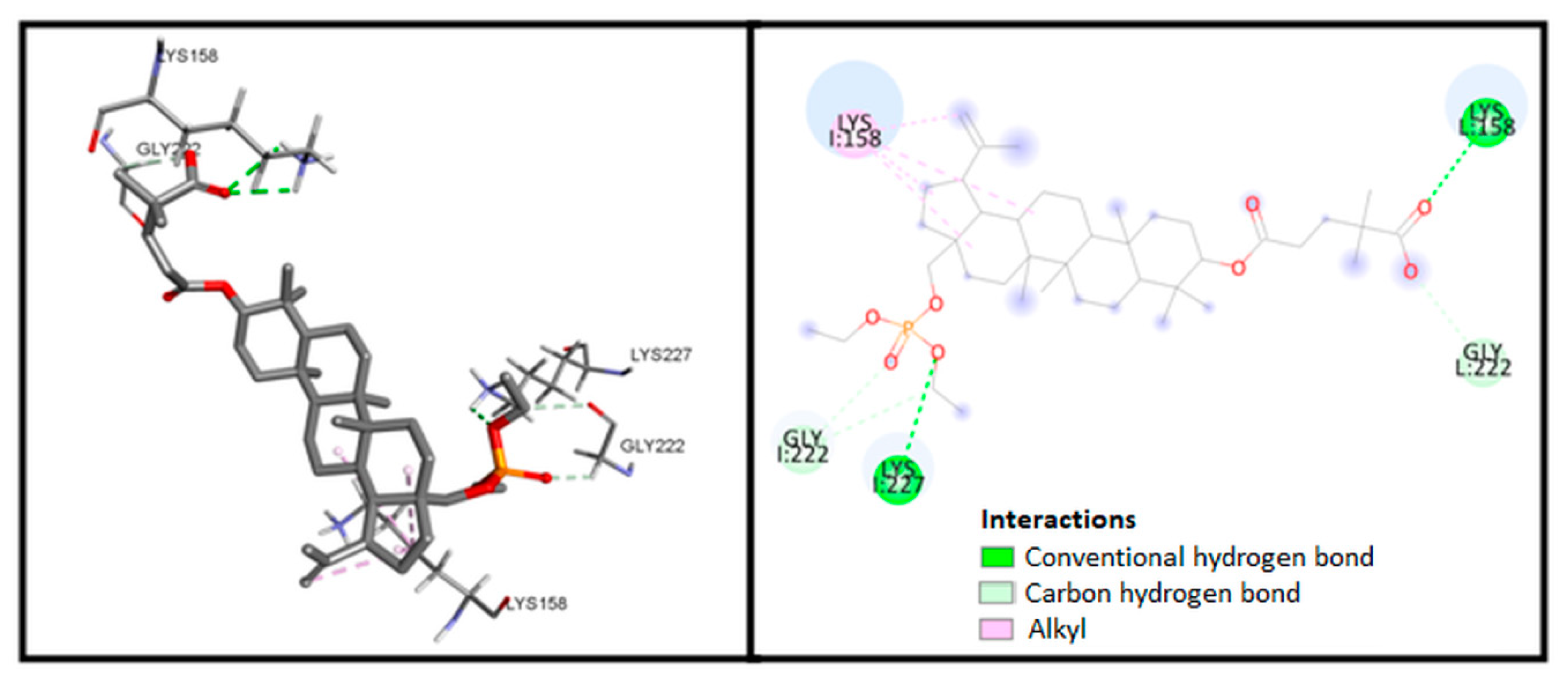 Biomolecules 10 01148 g005 Biomolecules 10 01148 g005
