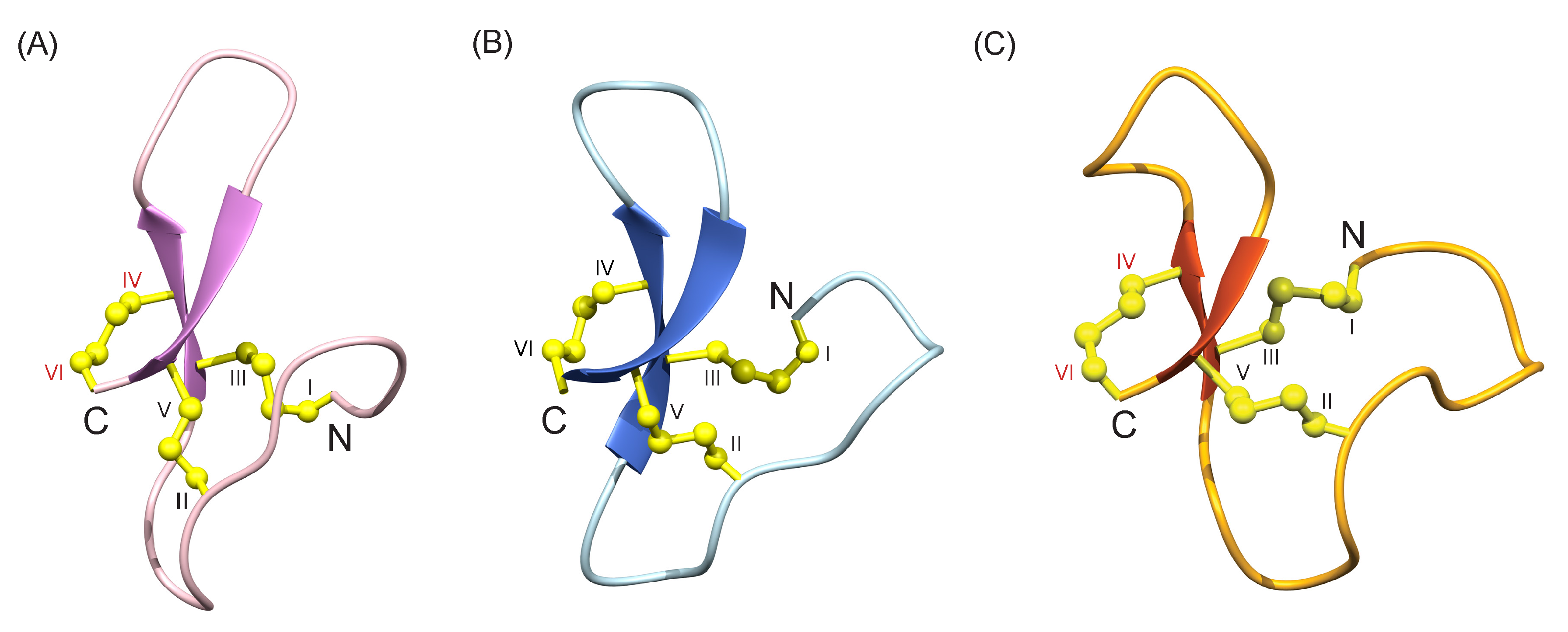 Biomolecules 10 01152 g004 Biomolecules 10 01152 g004