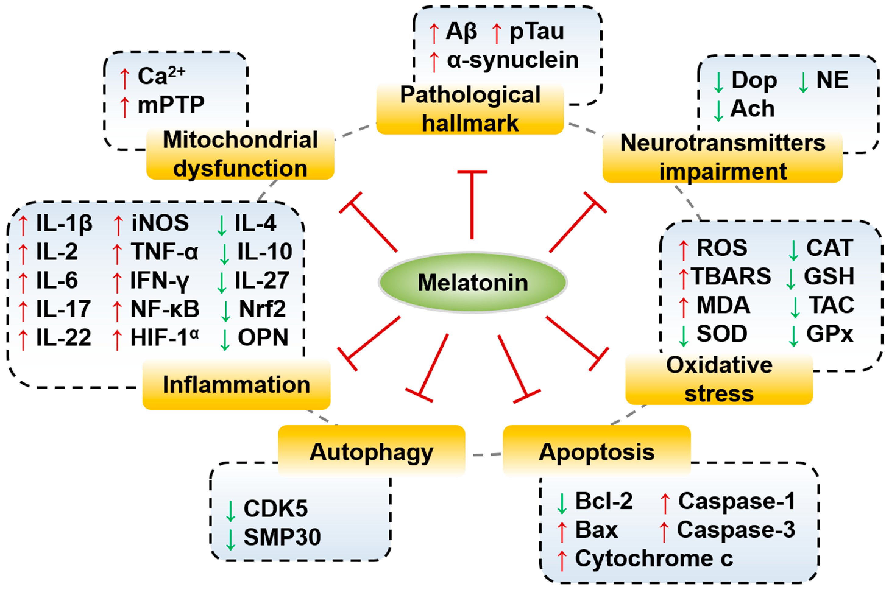 Biomolecules | Free Full-Text | Cellular Mechanisms of Melatonin: Insight  from Neurodegenerative Diseases