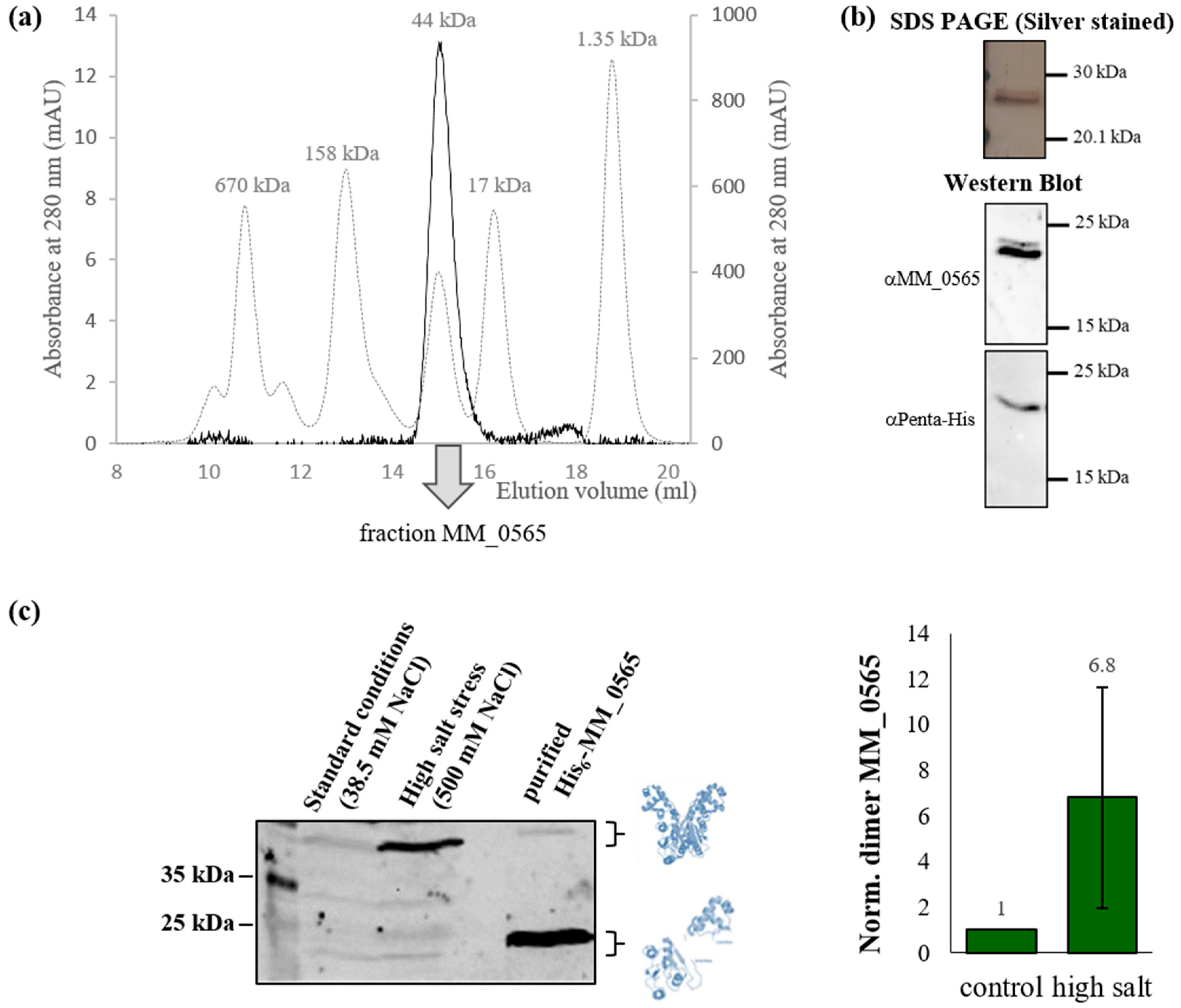 Biomolecules 10 01161 g003