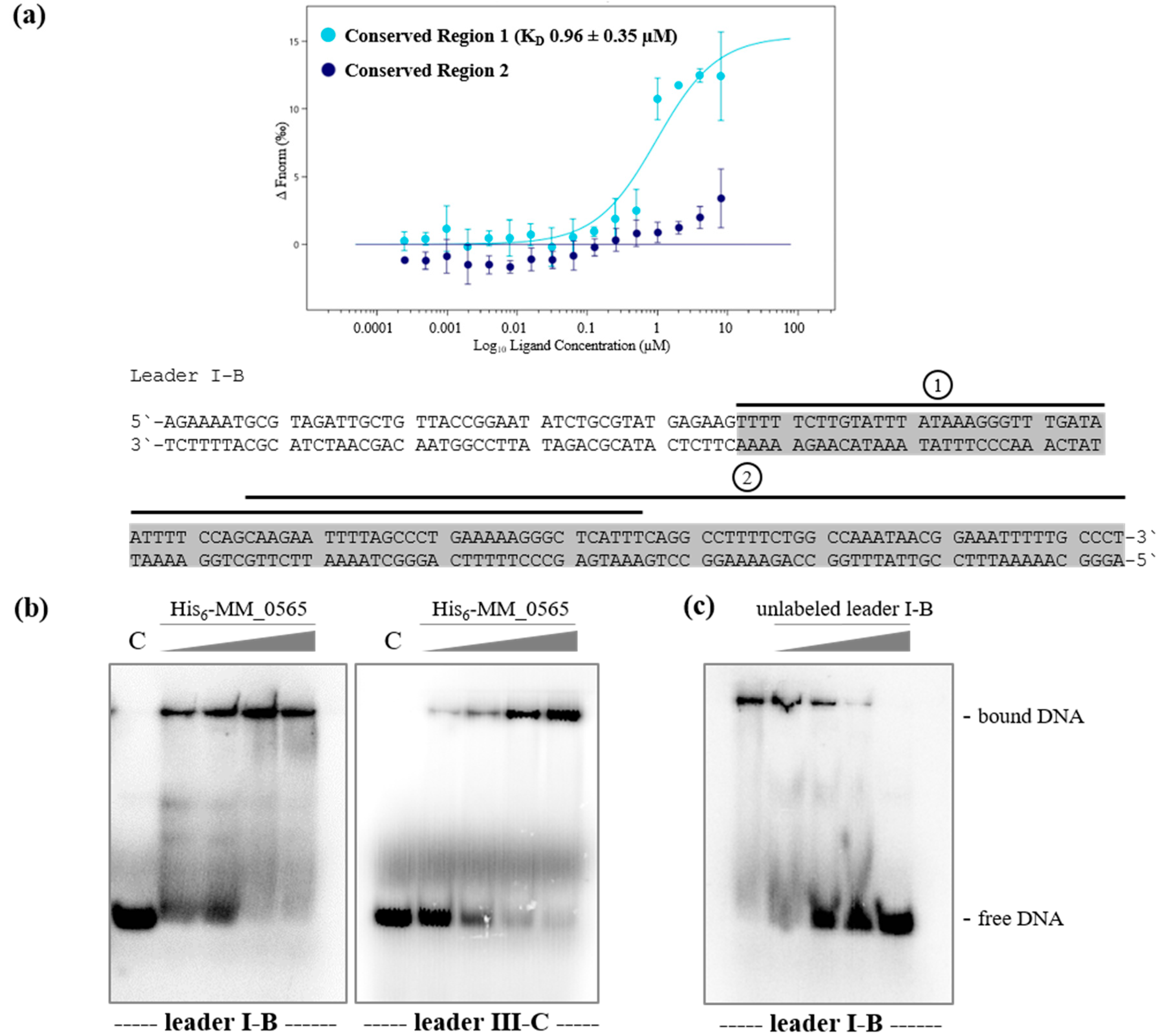 Biomolecules 10 01161 g005