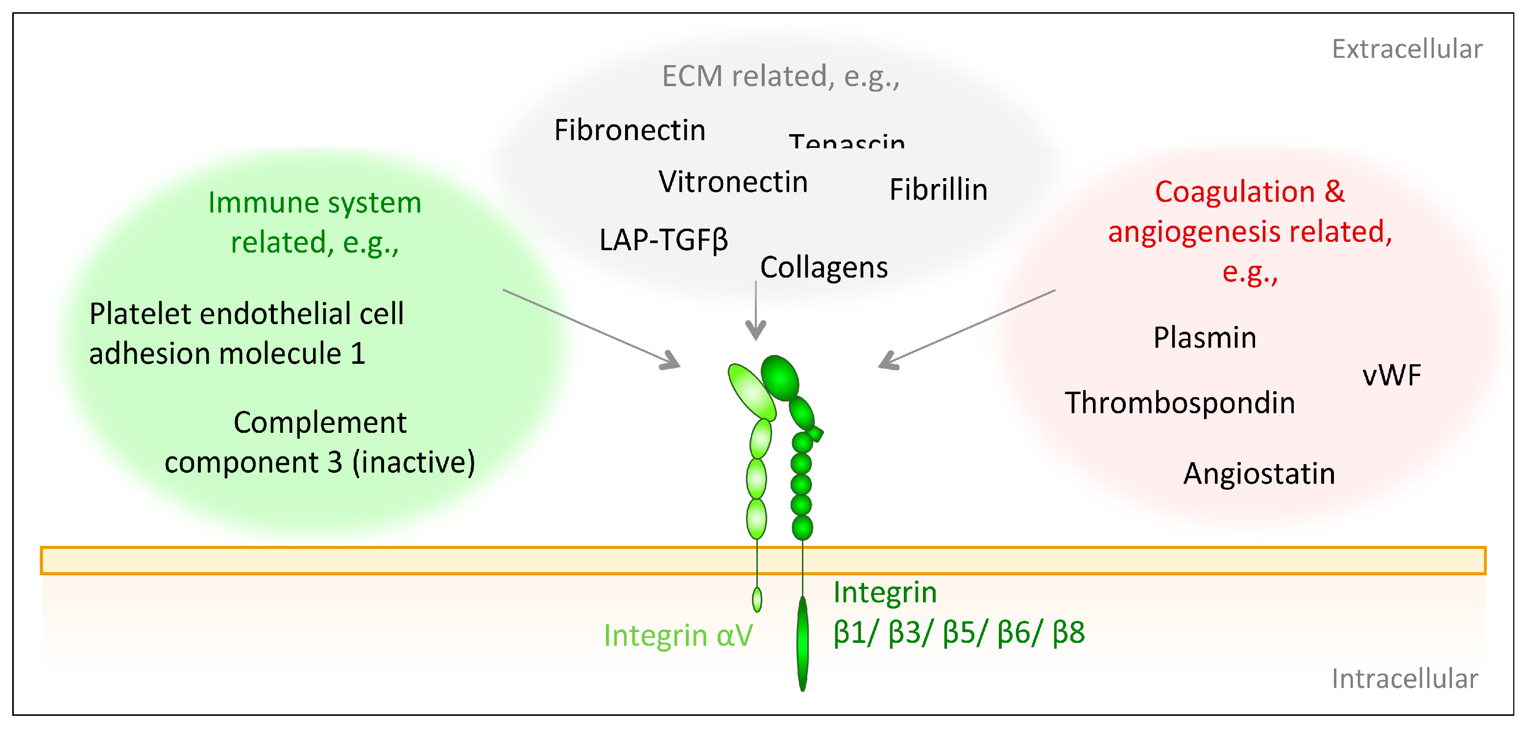 Biomolecules 10 01170 g003 Biomolecules 10 01170 g003