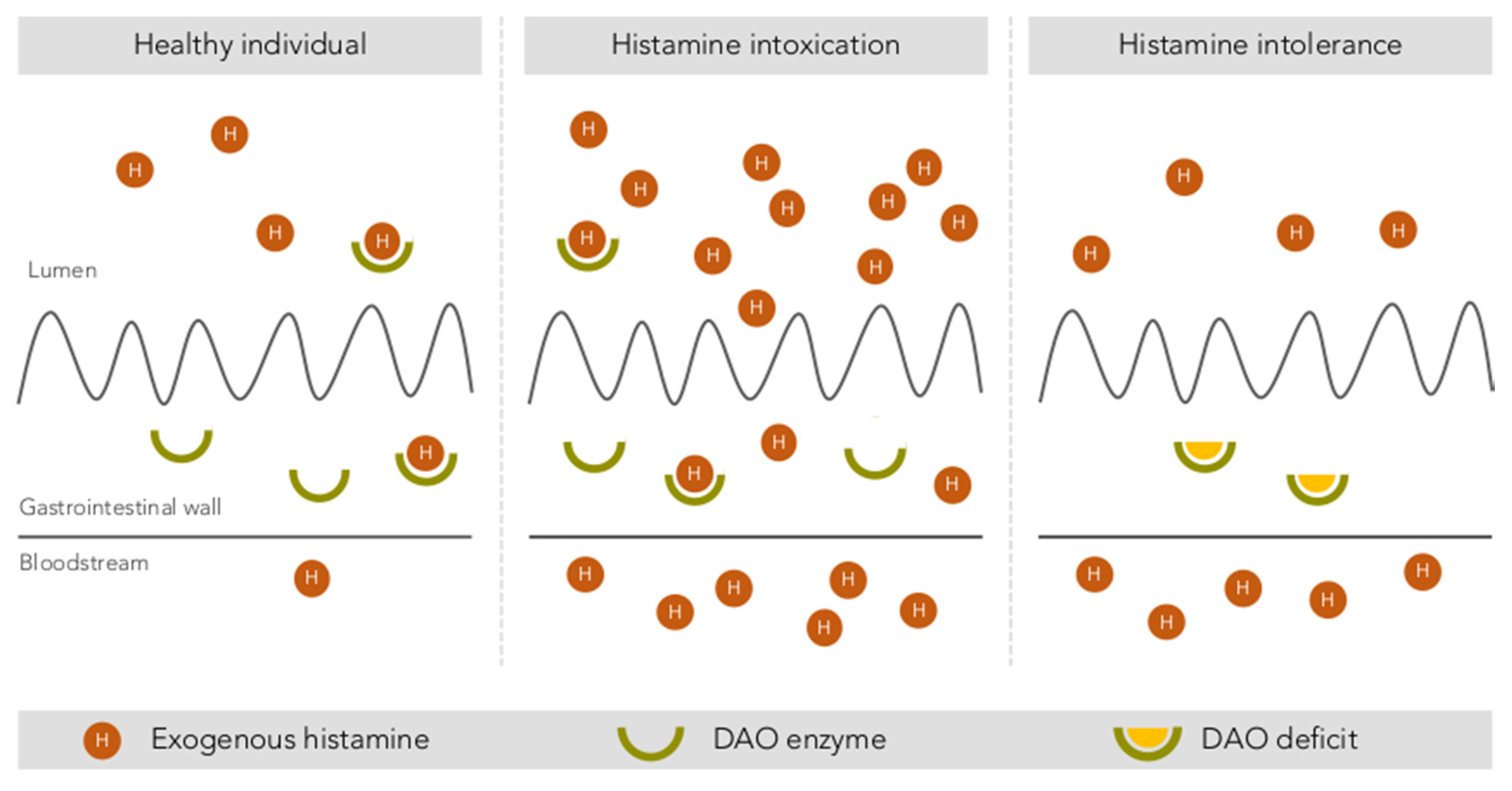 Biomolecules | Free Full-Text | Histamine Intolerance: The Current State of  the Art