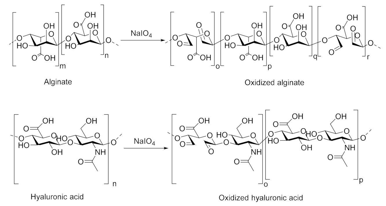 Biomolecules 10 01185 g001 Biomolecules 10 01185 g001